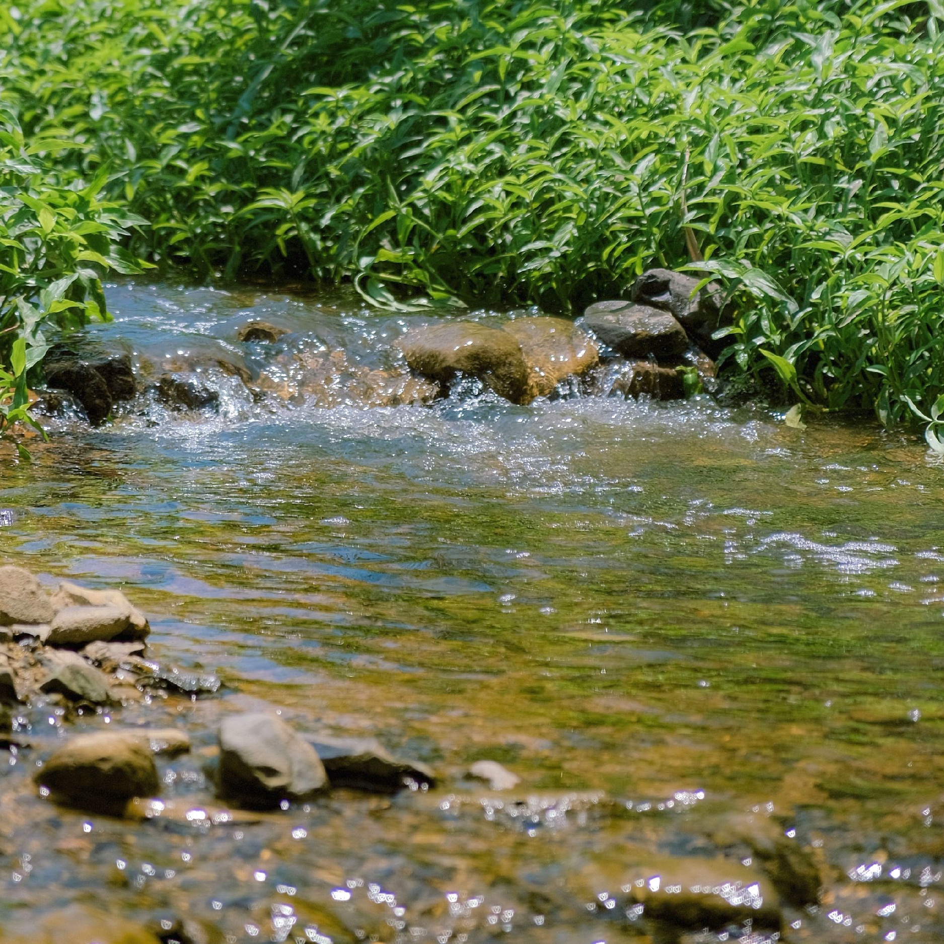 Du lịch Đà Lạt ảnh 5 Du lich Da Lat anh 5