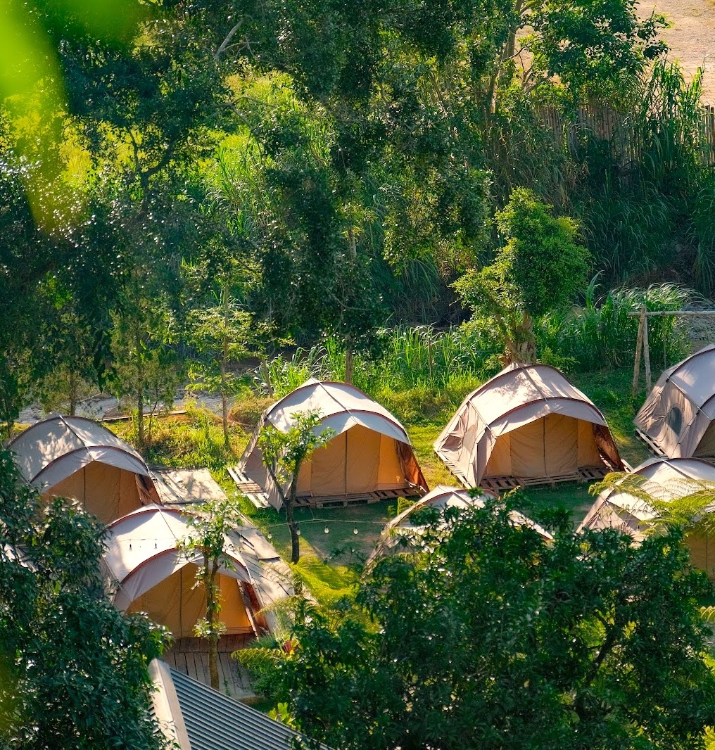 Du lịch Đà Lạt ảnh 4 Du lich Da Lat anh 4