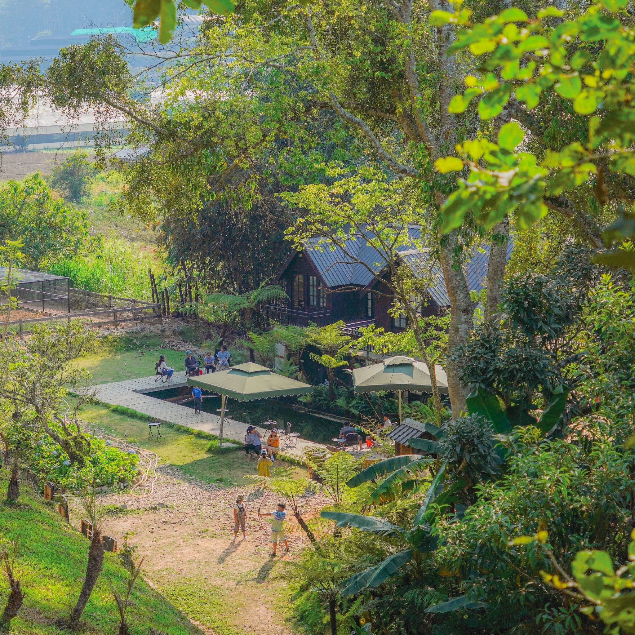 Du lịch Đà Lạt ảnh 2 Du lich Da Lat anh 2