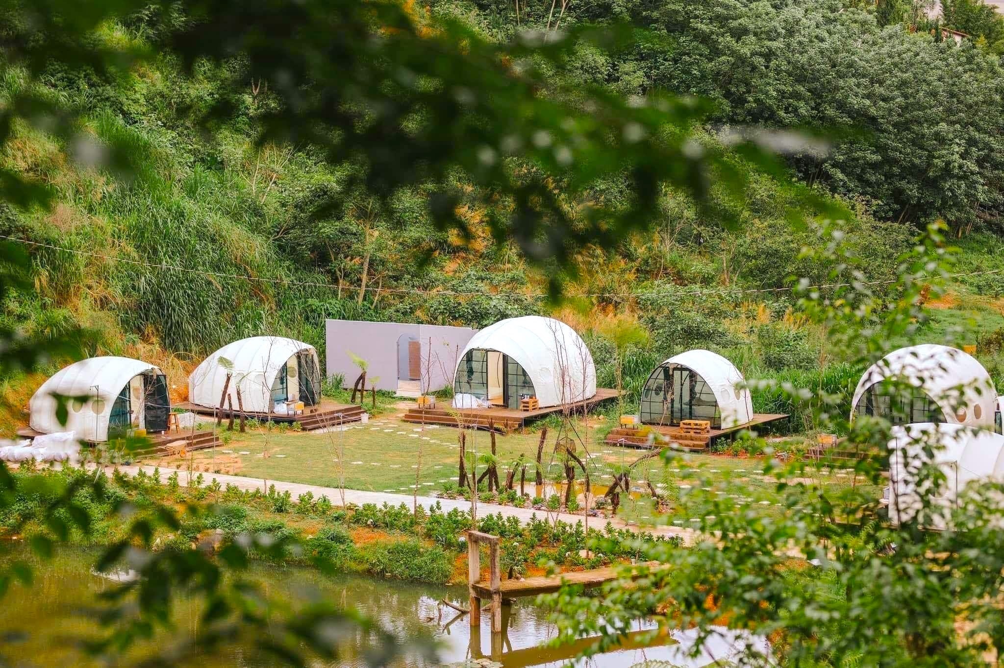 Du lịch Đà Lạt ảnh 14 Du lich Da Lat anh 14