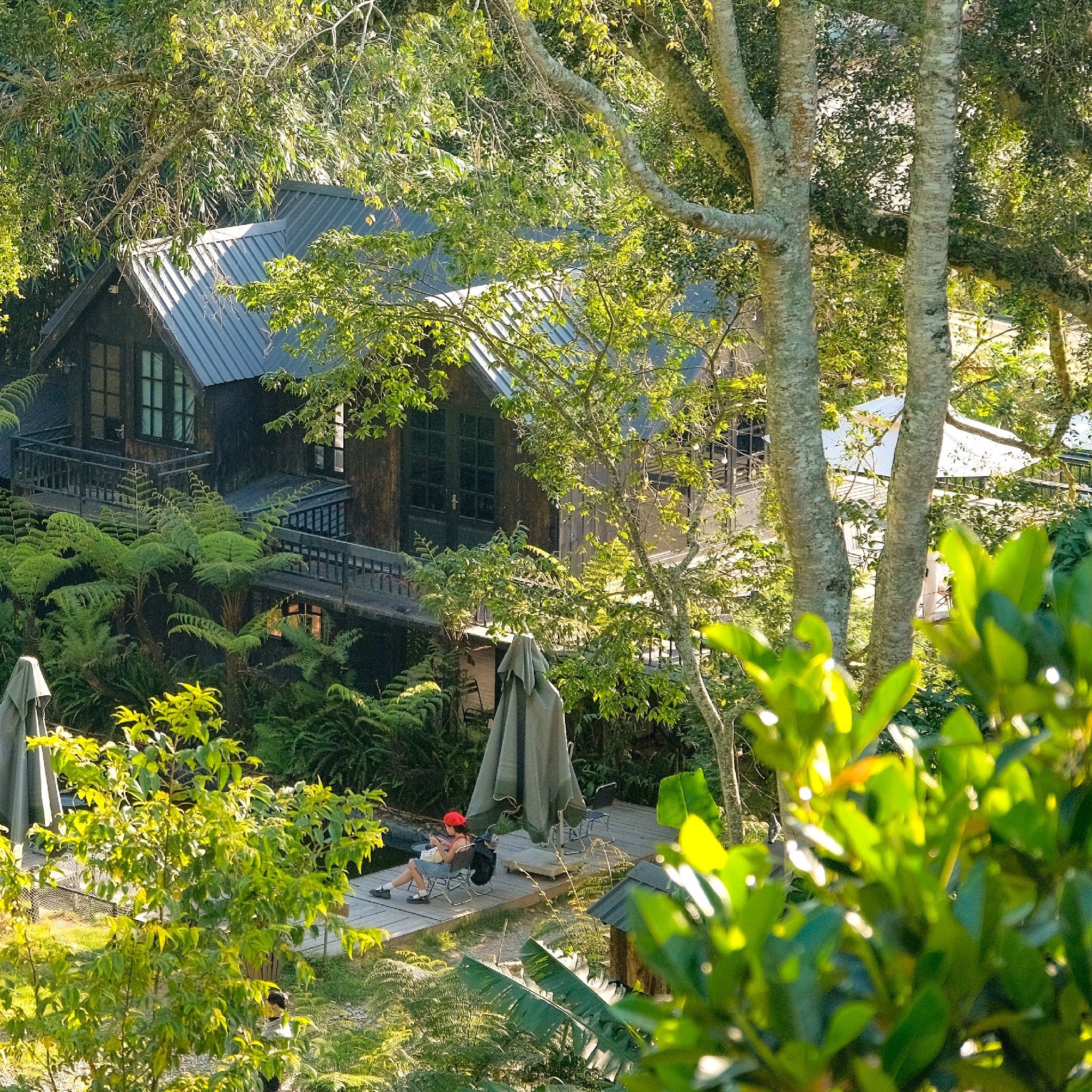 Du lịch Đà Lạt ảnh 3 Du lich Da Lat anh 3