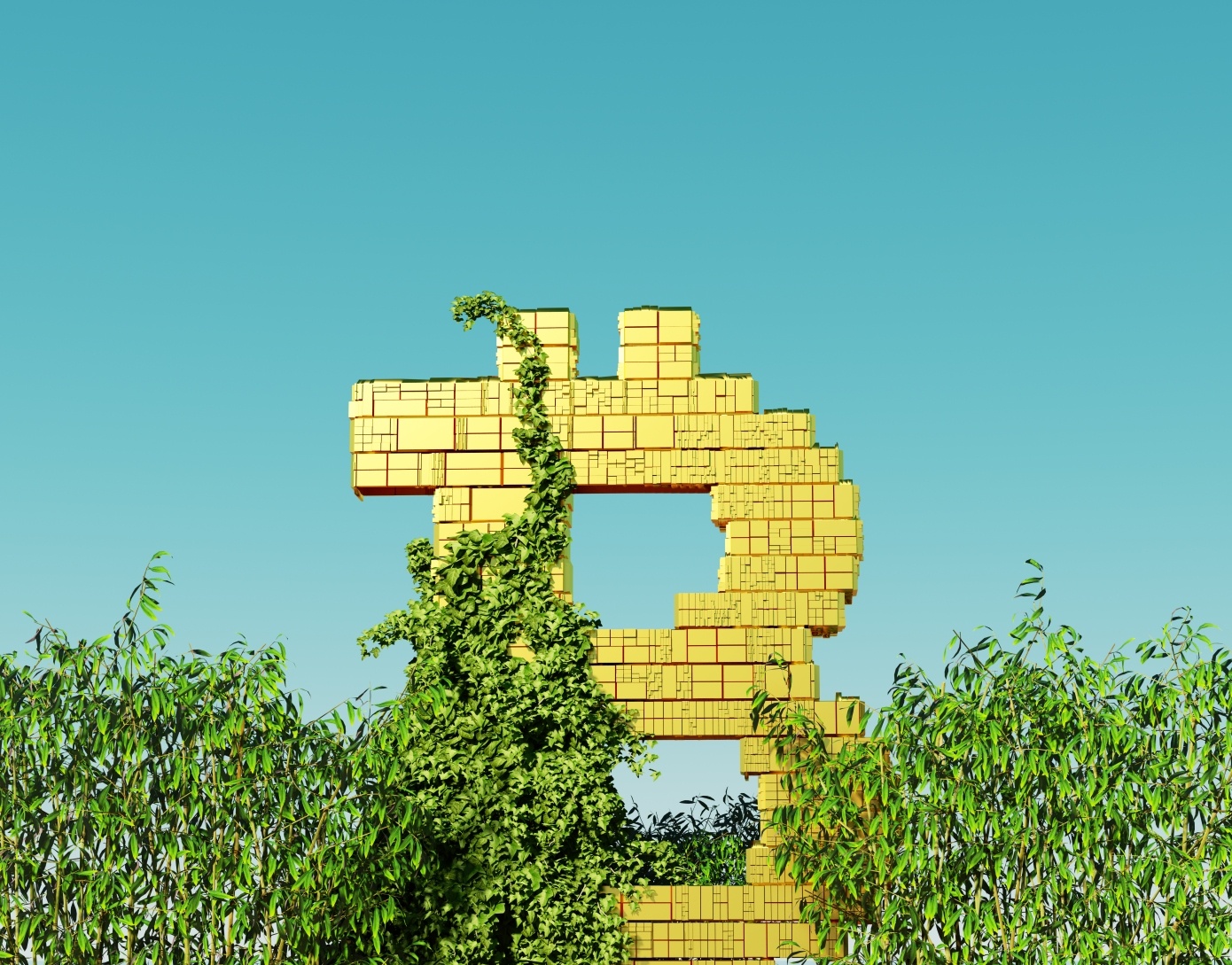 Mat trai cua tien ma hoa hinh anh