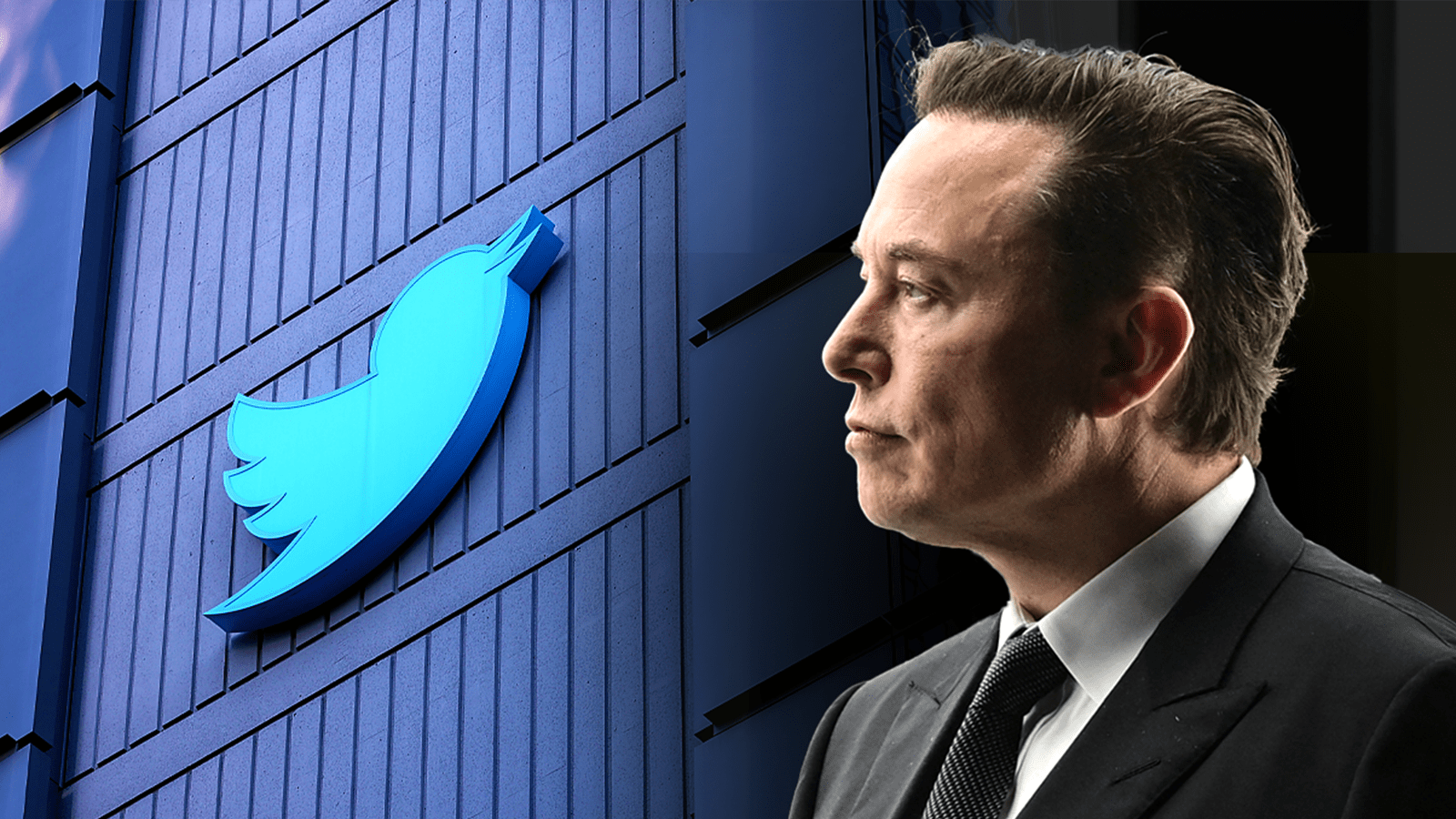 Co dong Twitter kien Elon Musk vi 'mua chui' co phieu hinh anh