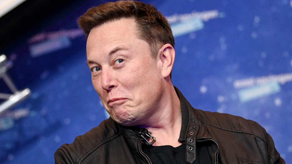 CEO Reddit che Elon Musk lac hau ve van hoa Internet hinh anh