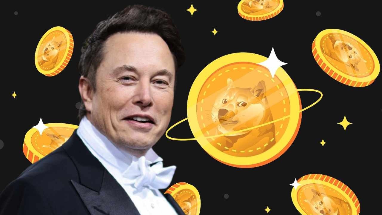 Elon Musk lai ung ho Dogecoin hinh anh