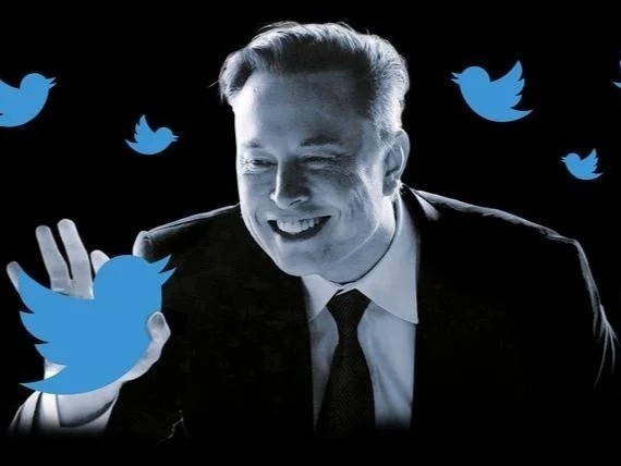 Twitter muon dua Elon Musk ra toa cang som cang tot hinh anh