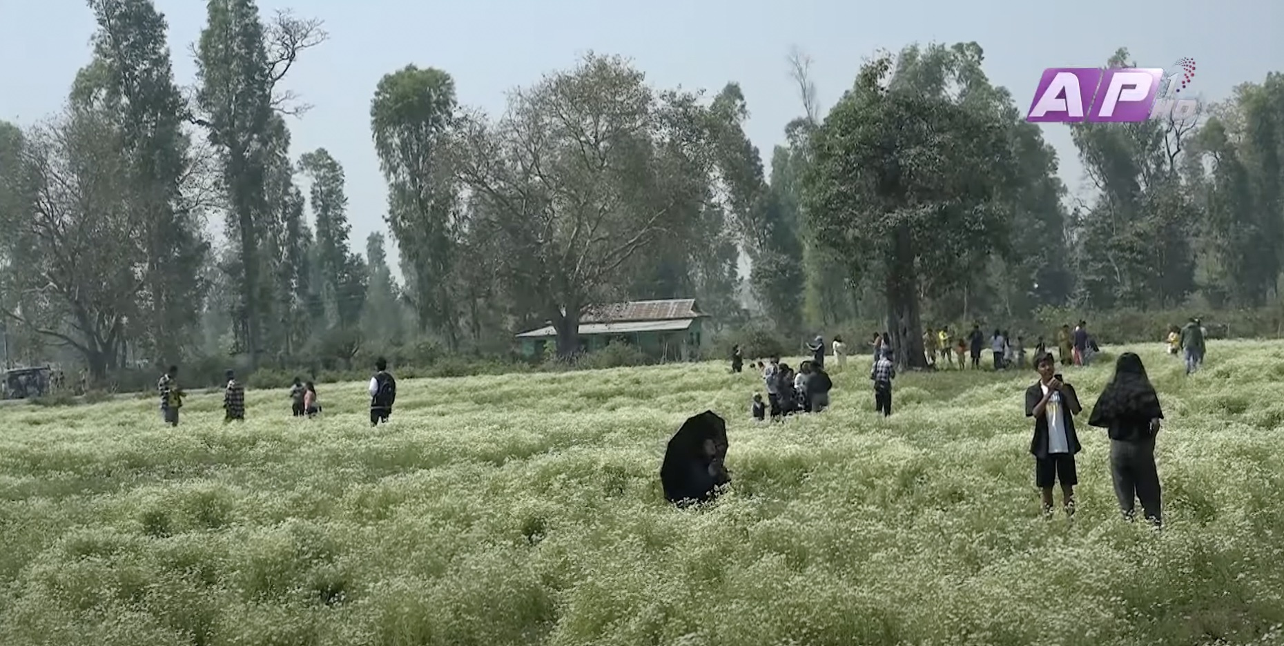 TikToker bi cam anh 2