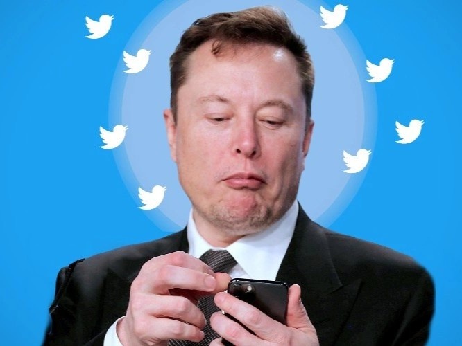 Elon Musk kien nguoc Twitter hinh anh