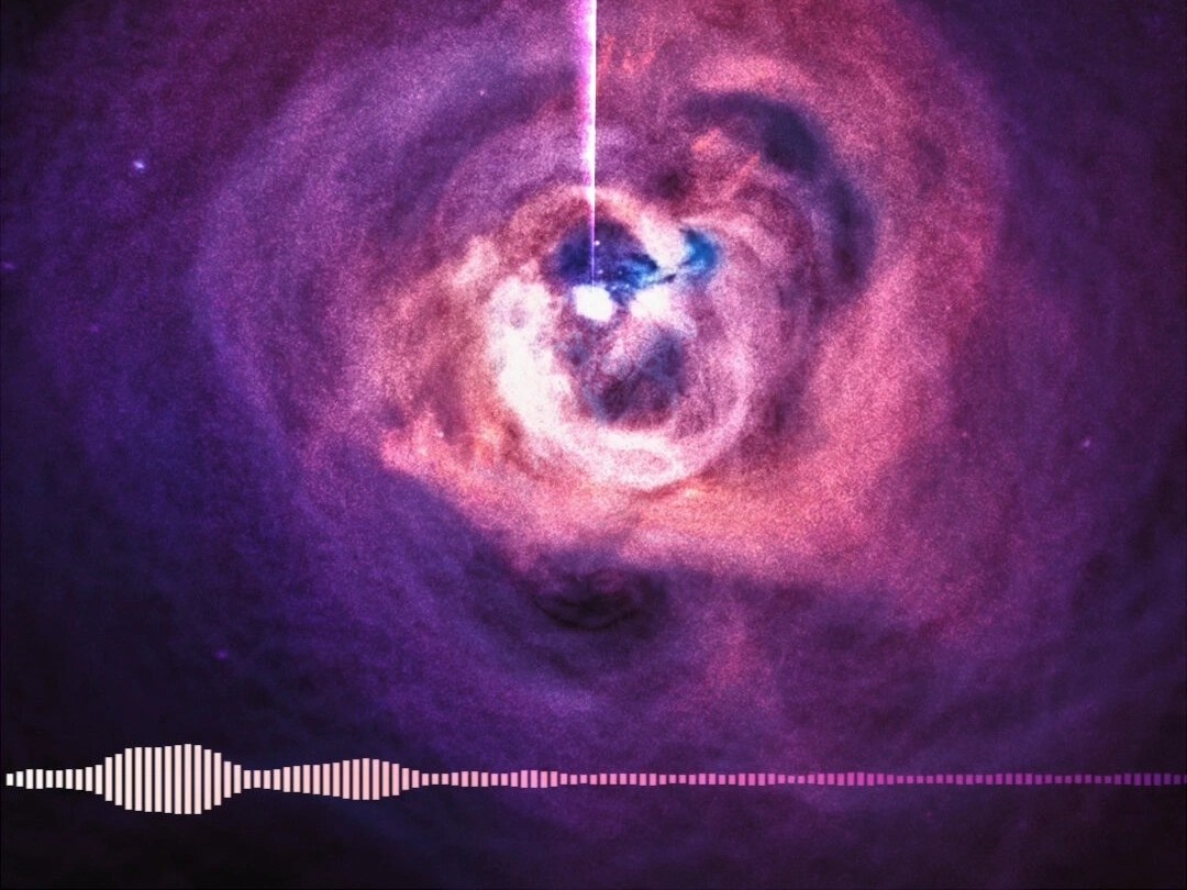 Cach khoa hoc nghe duoc am thanh rung ron cua ho den hinh anh