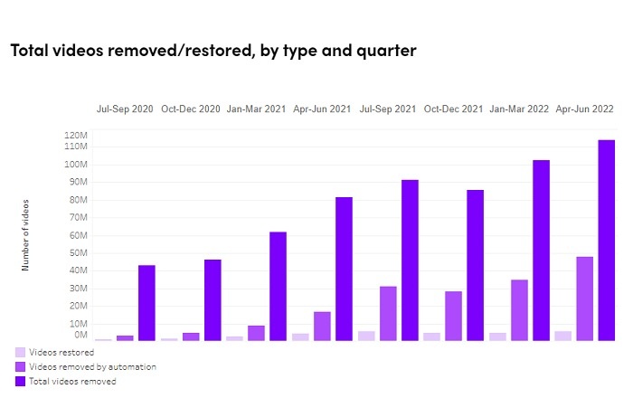Xoa 113 trieu video TikTok anh 1