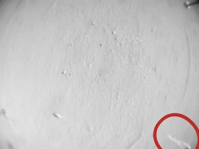 Giay ve sinh NASA anh 1