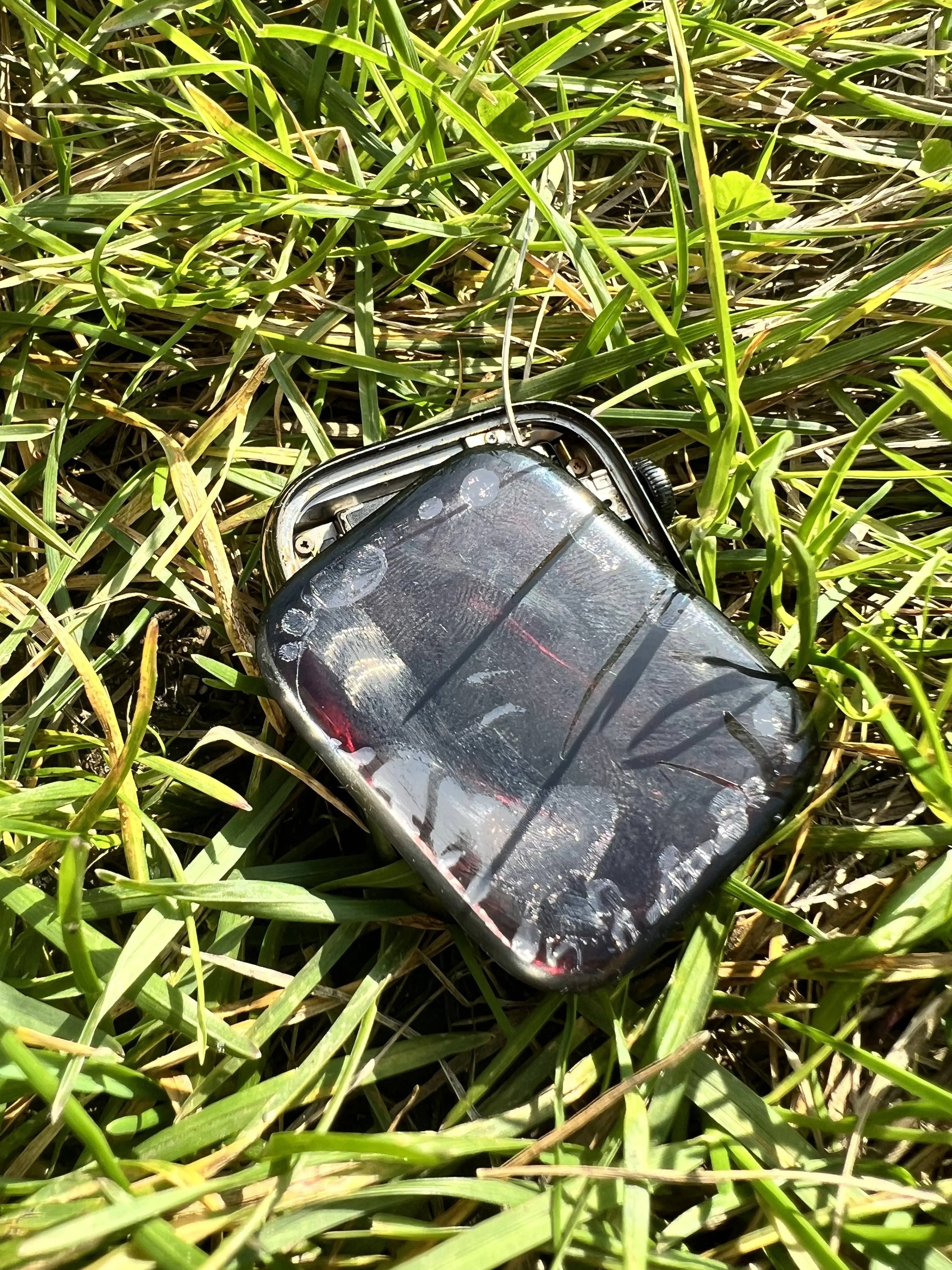 Apple Watch phat no anh 3