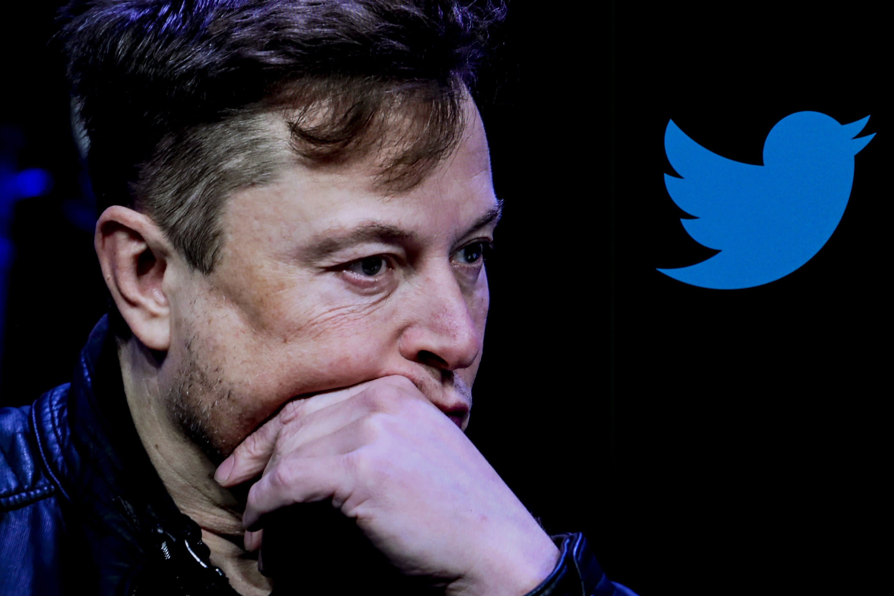Elon Musk doi Twitter ha gia nhung khong thanh hinh anh