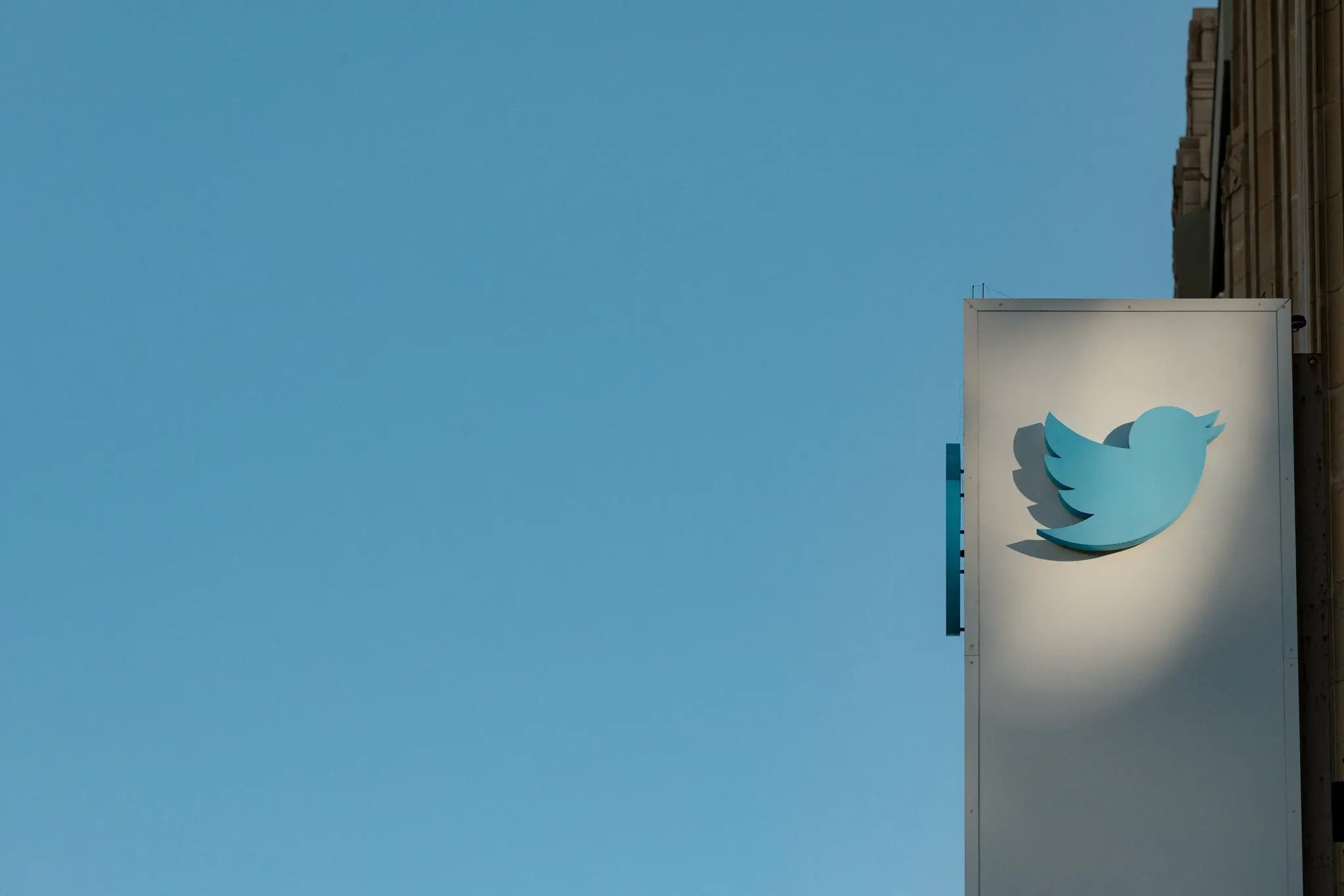 Elon Musk gay hoa anh 1