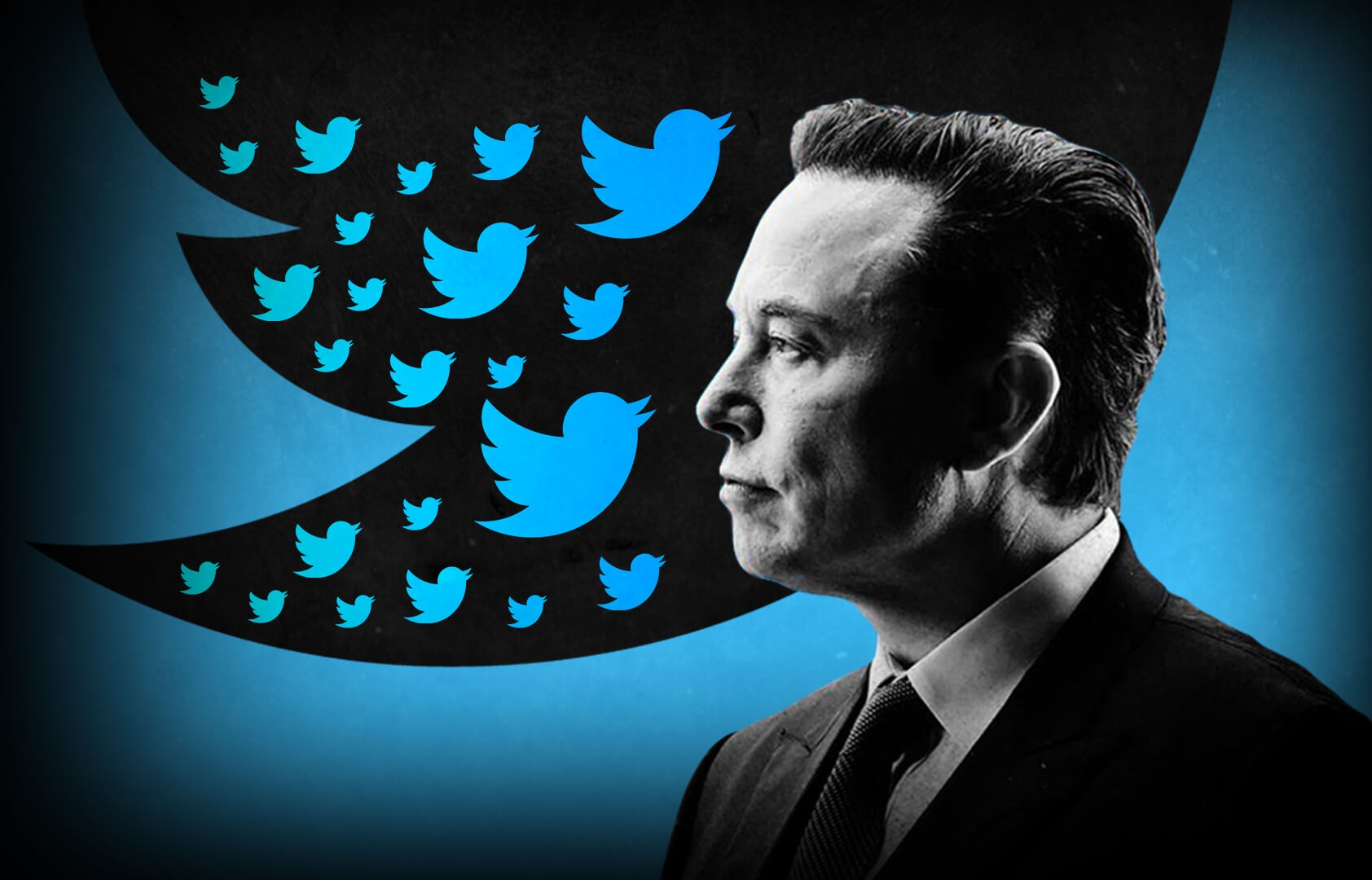 Elon Musk cat giam ca giay ve sinh cua nhan vien Twitter hinh anh