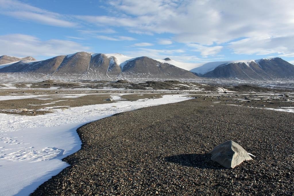 Sa mac lon nhat anh 1