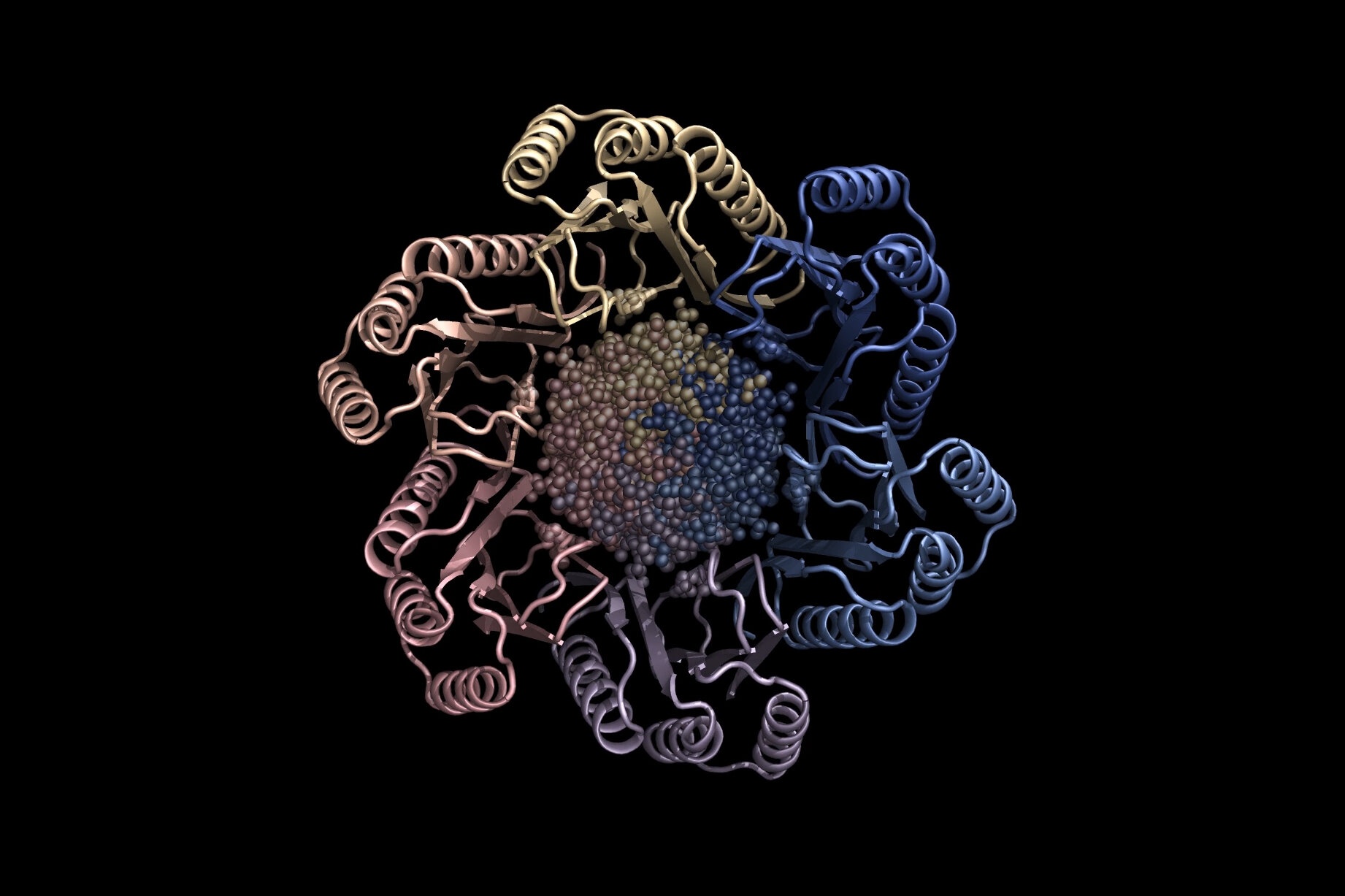 Phat hien loai protein moi tri ung thu, Covid-19 nho AI hinh anh