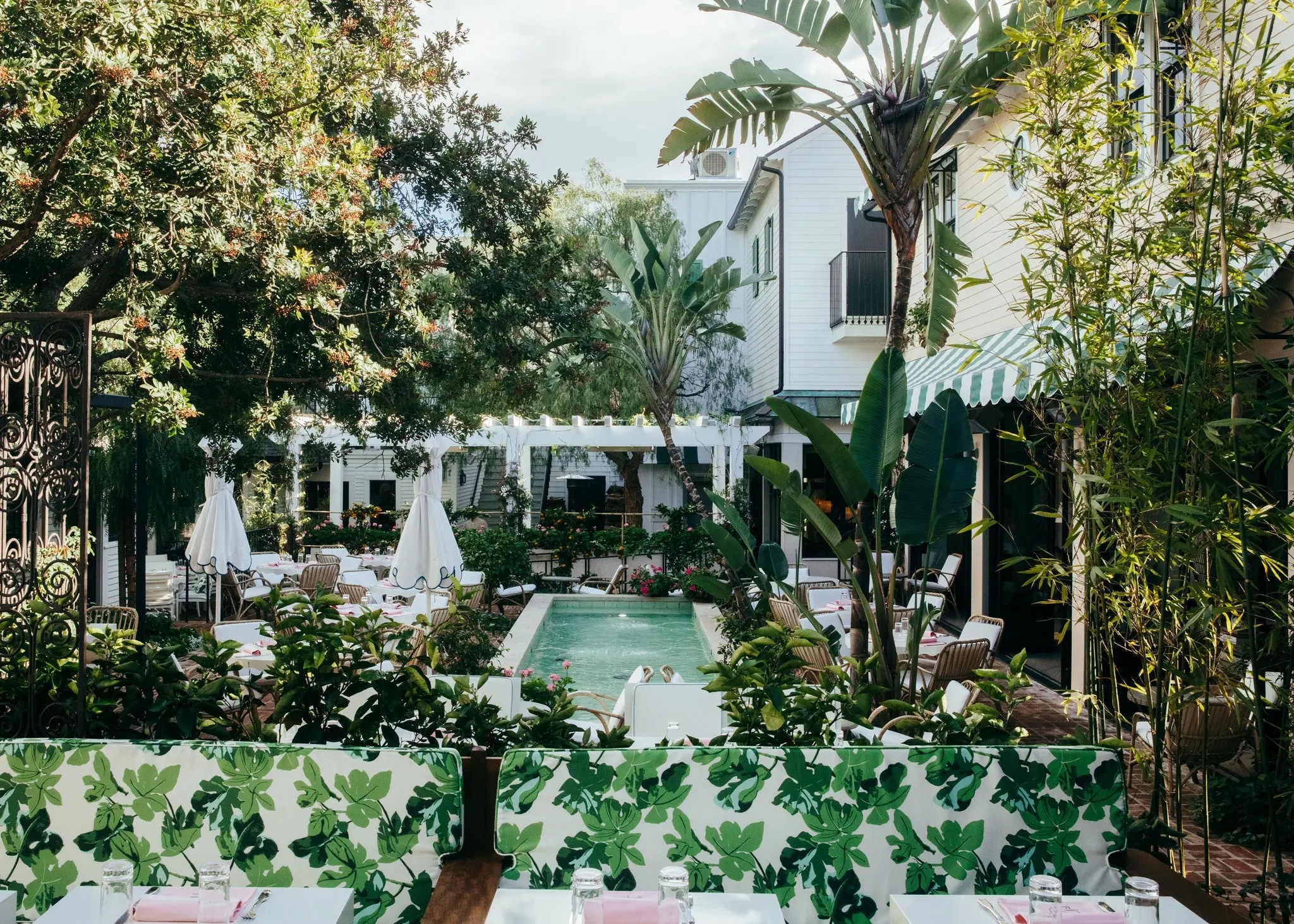 Hoi kin cua Elon Musk anh 3