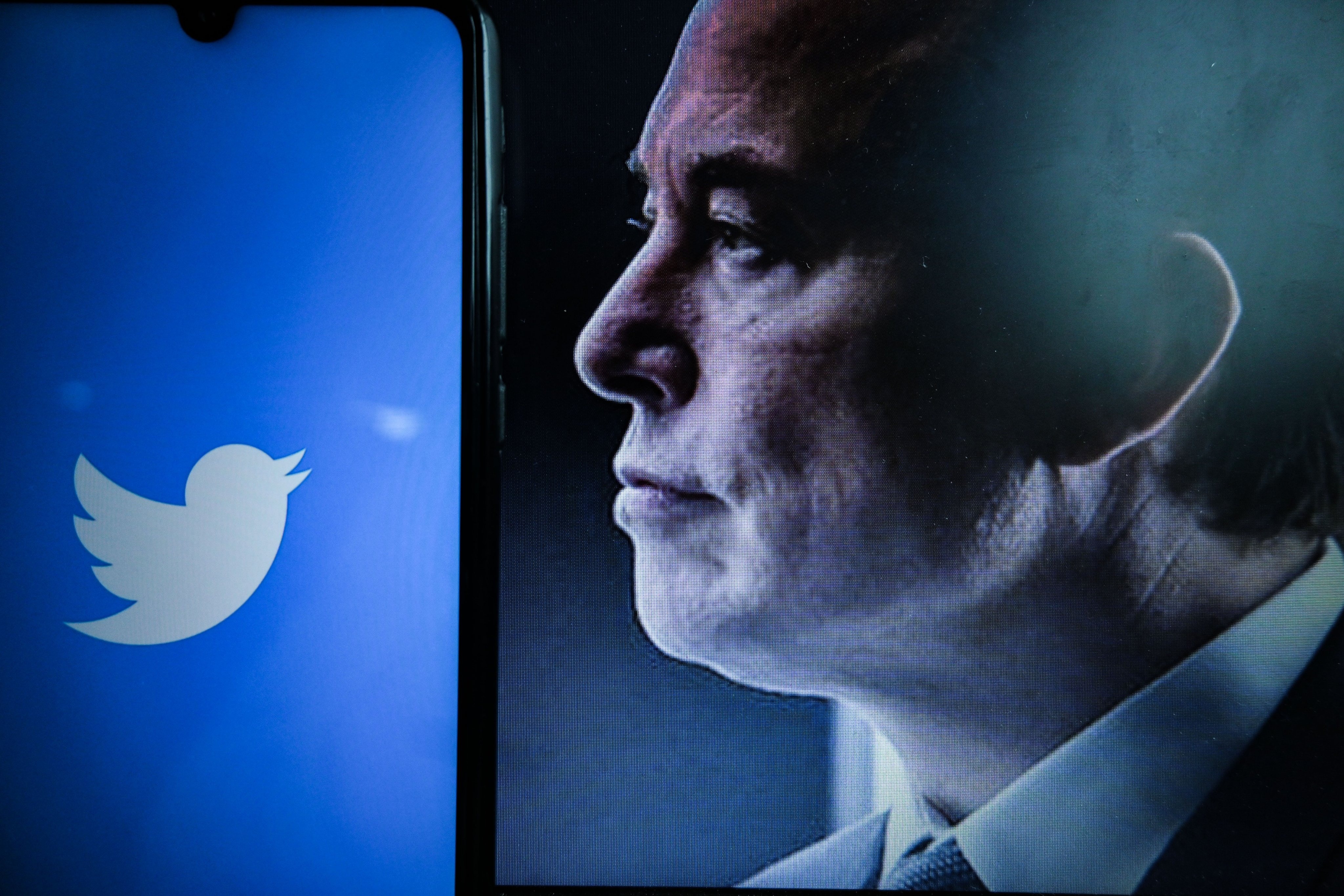 Elon Musk huy hoai Twitter anh 1