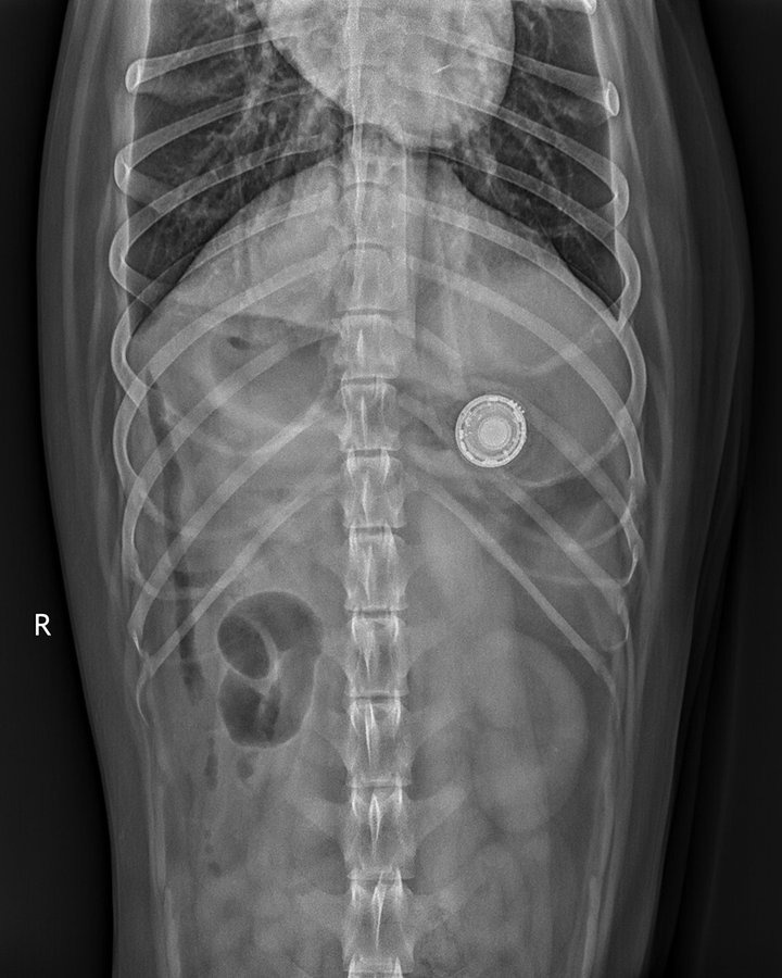 AirTag nguy hiem anh 3