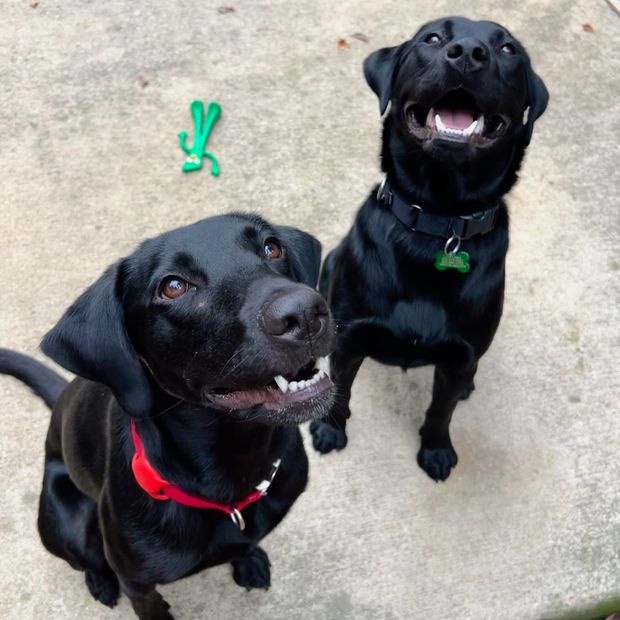 AirTag nguy hiem anh 1