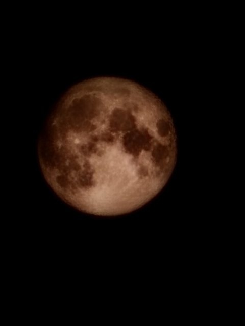 Samsung bi to gian lan anh 2