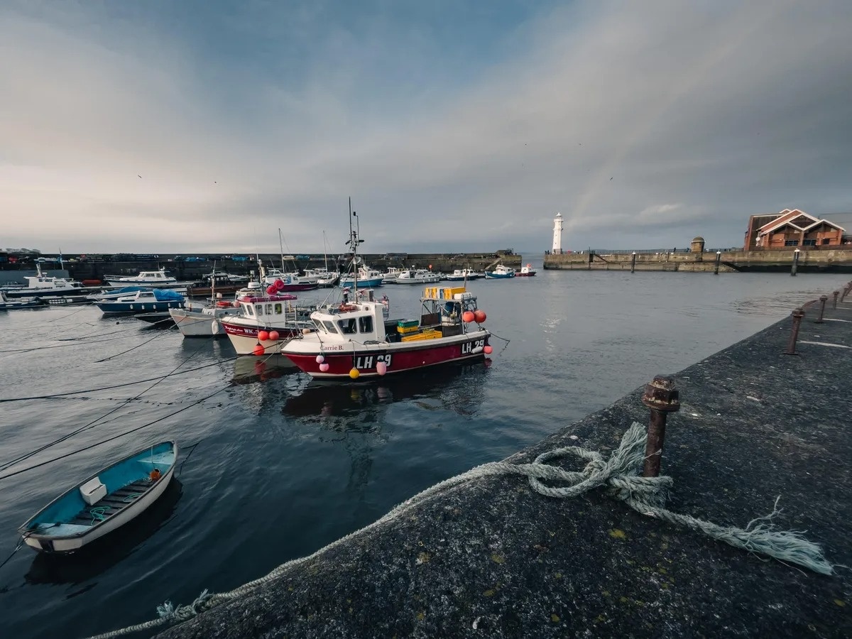 Chup iPhone dep nhu DSLR anh 1