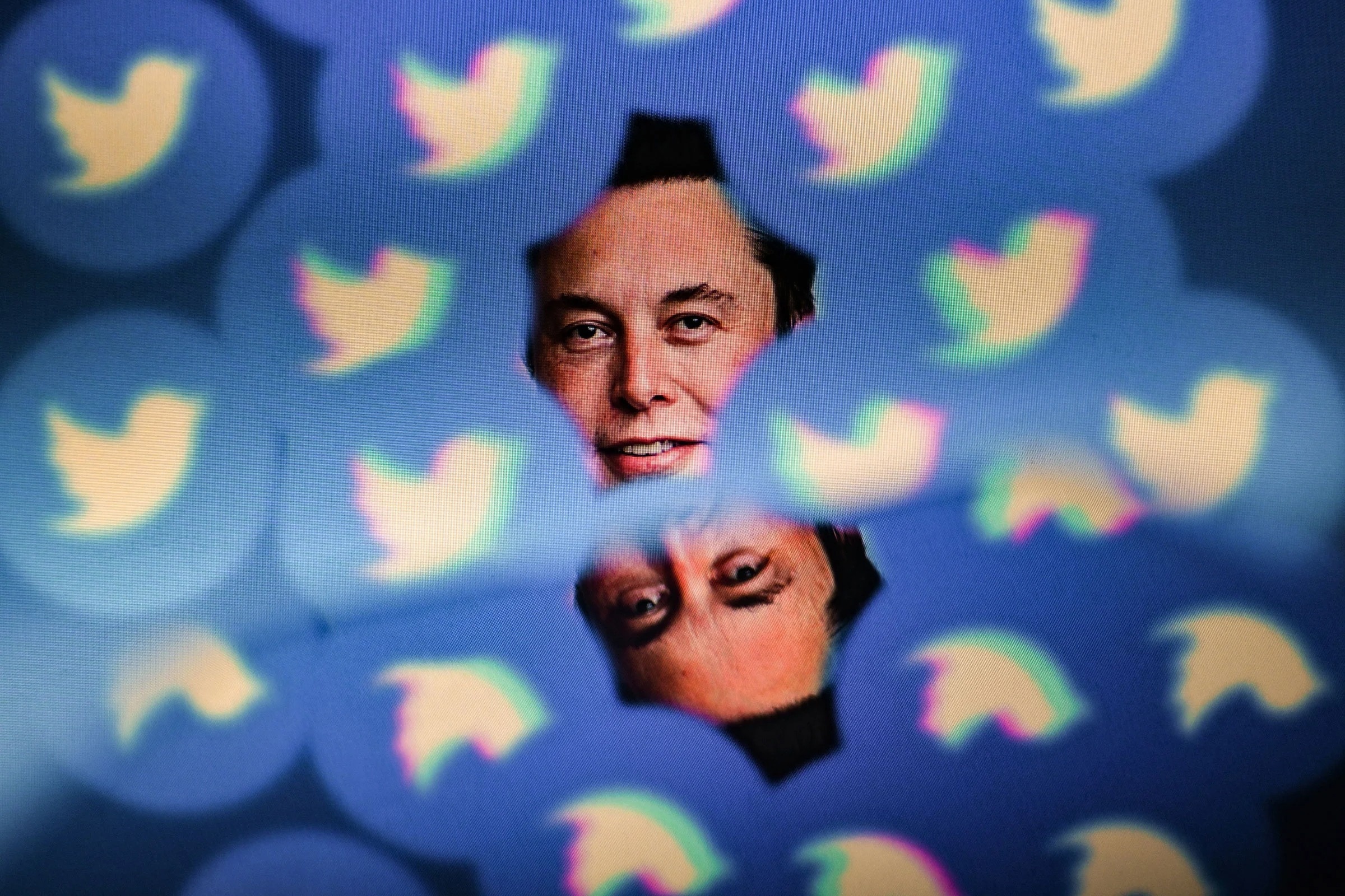 Elon Musk hua khong khien nguoi dung Twitter hoi han hinh anh