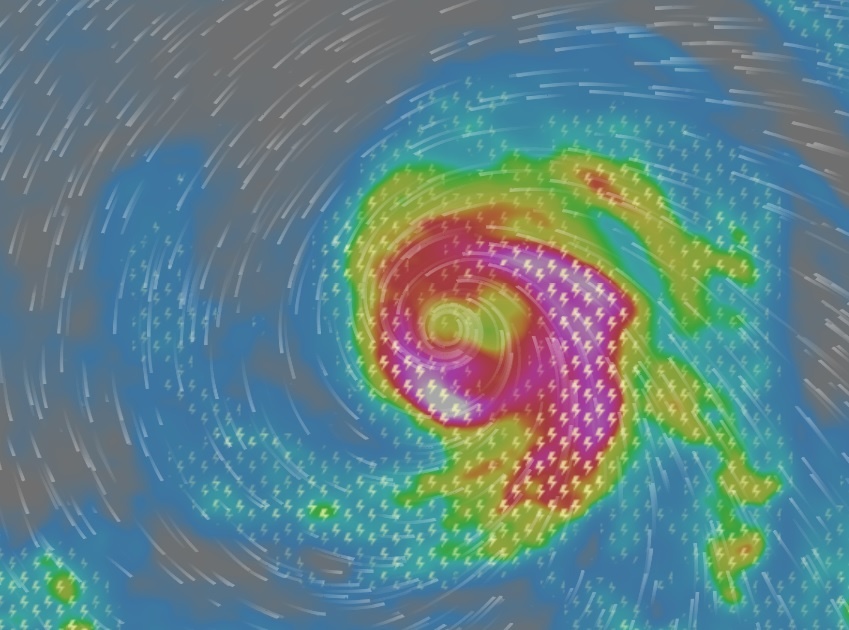 Bao Mawar tu ve tinh anh 8