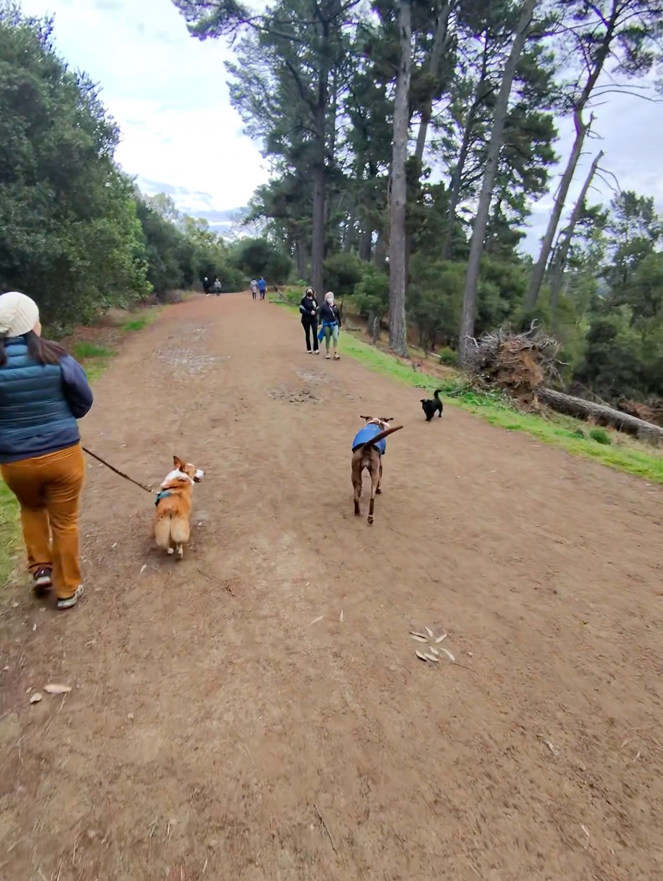 Kinh thong minh nhu that anh 8