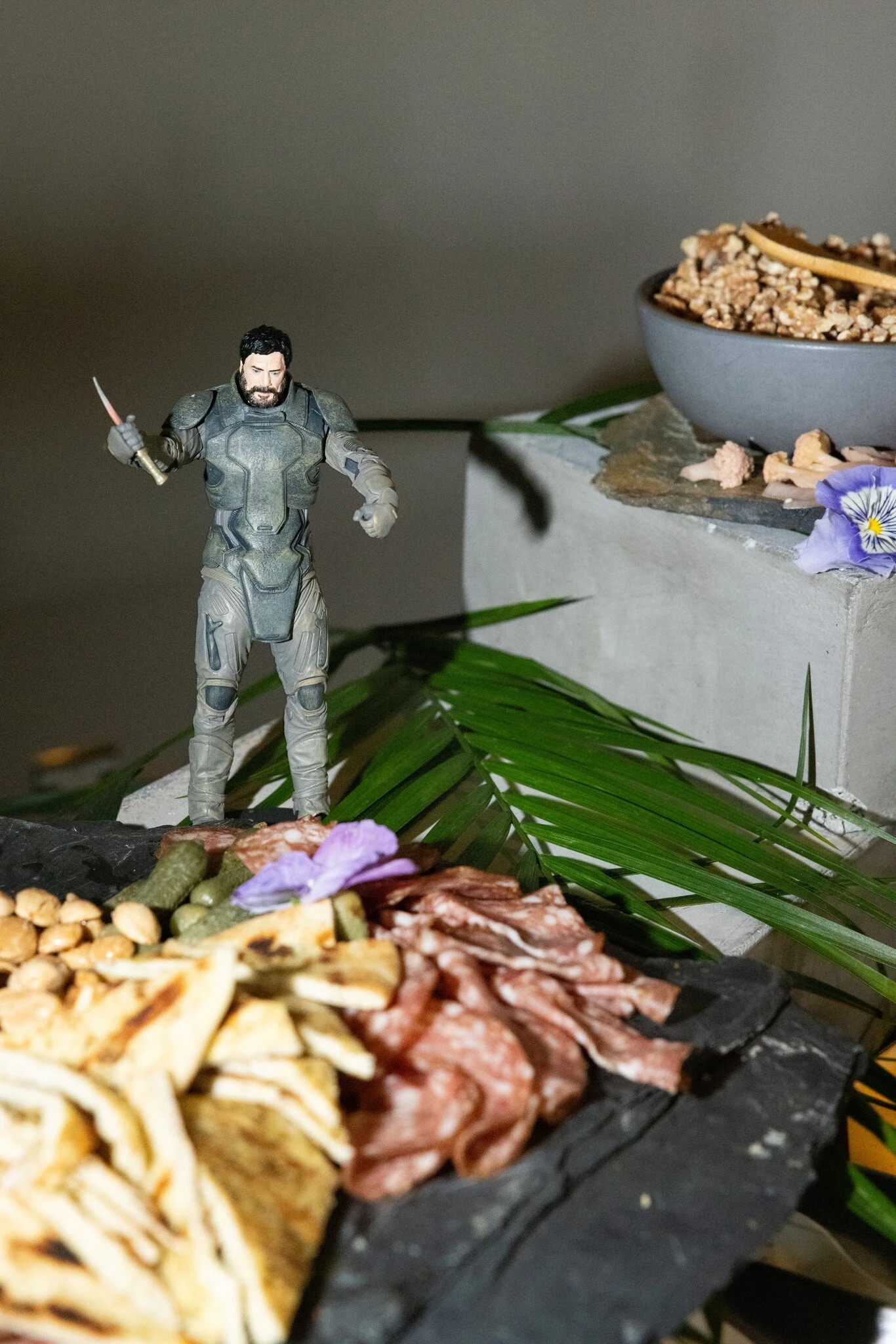 Thung lung Silicon cuong Dune anh 4