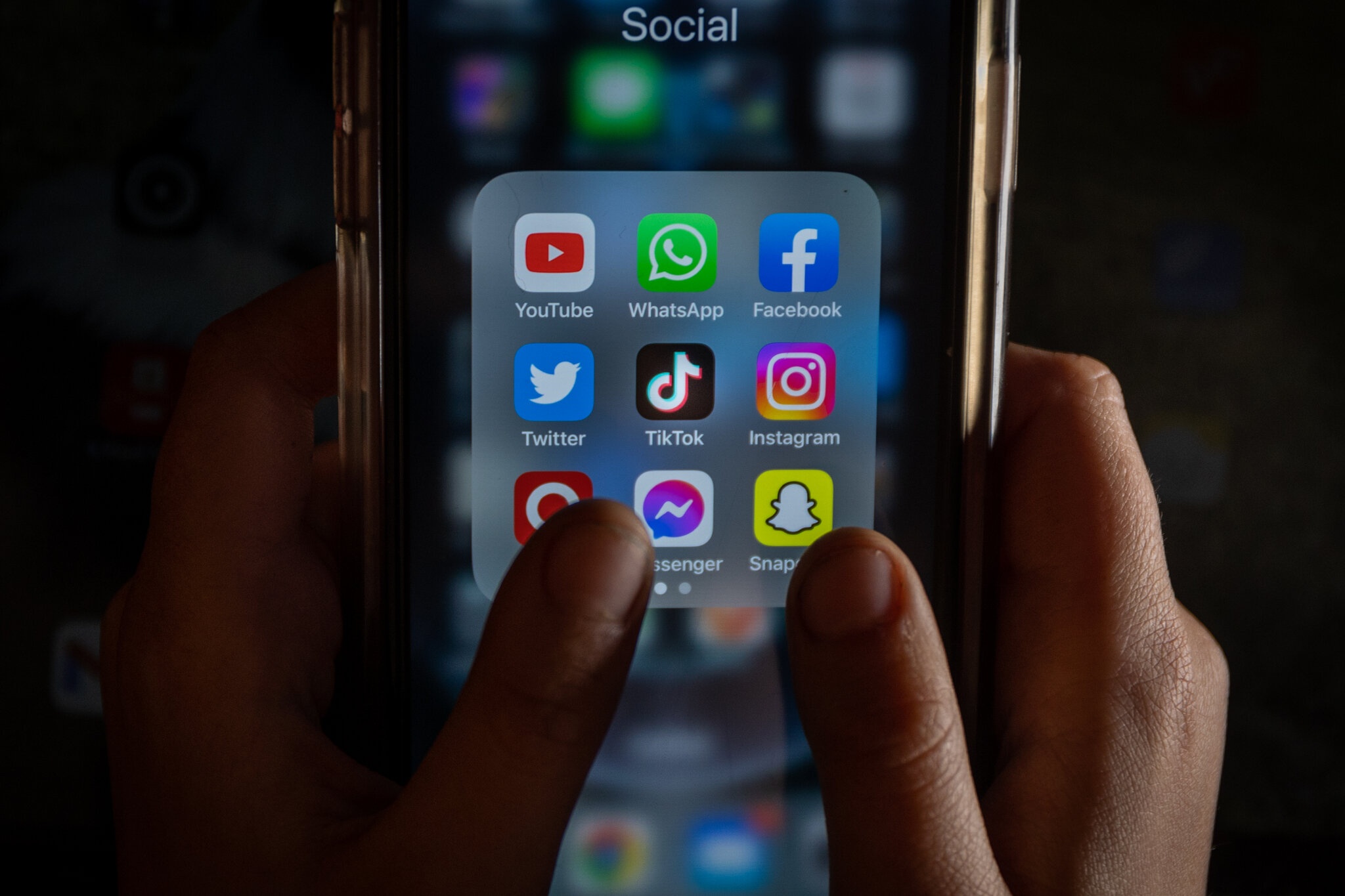 Cai gia cua su ‘viral’ ngay cang re mat hinh anh