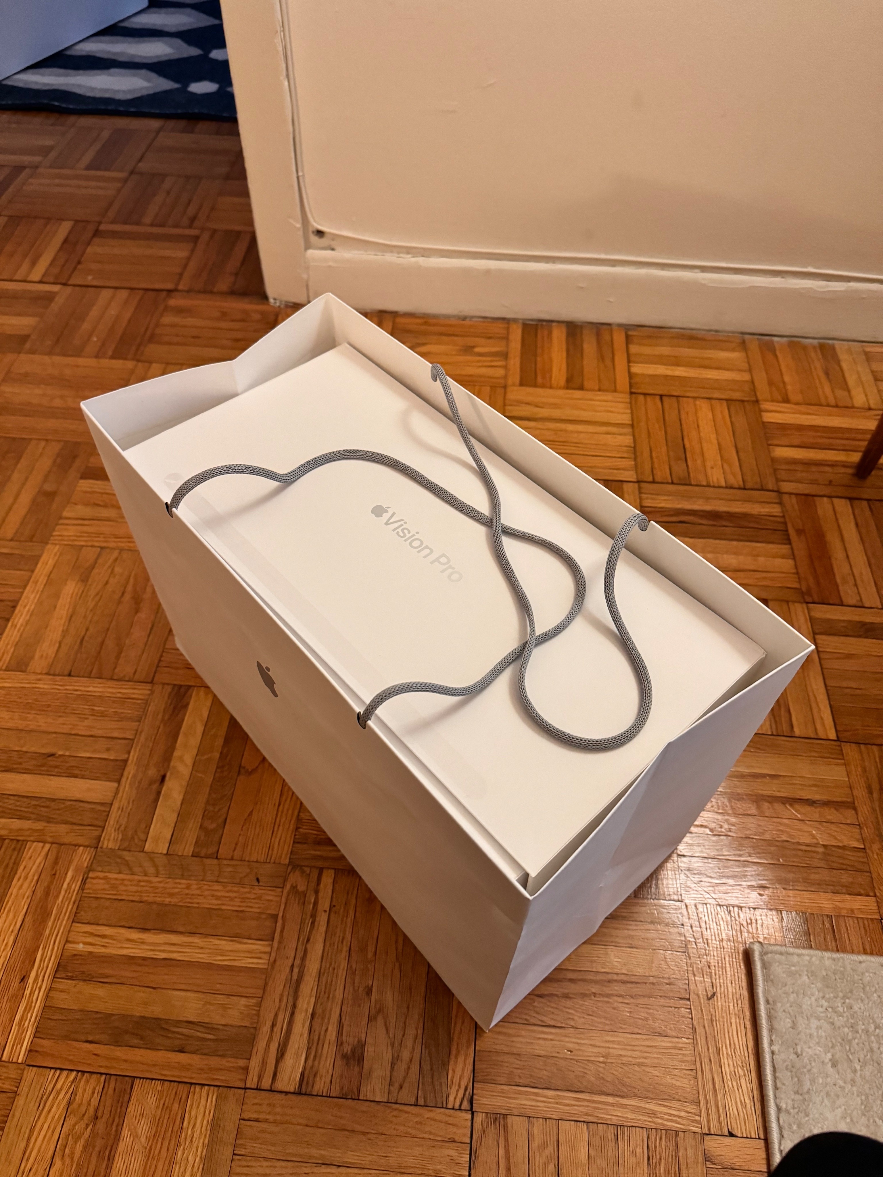 Vision Pro bi lang quen anh 2