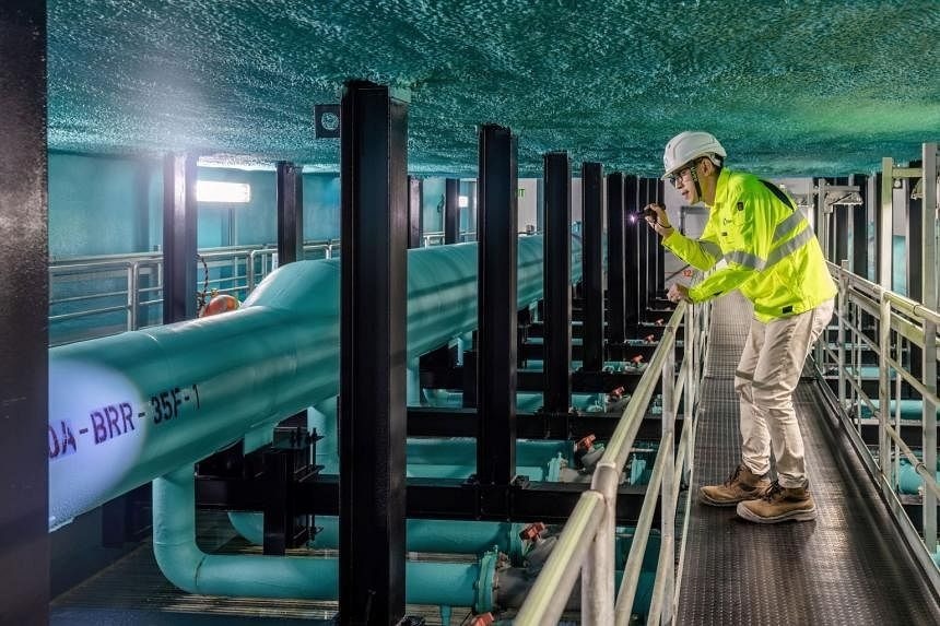 Singapore làm mát thành phố ảnh 4 Singapore lam mat thanh pho anh 4