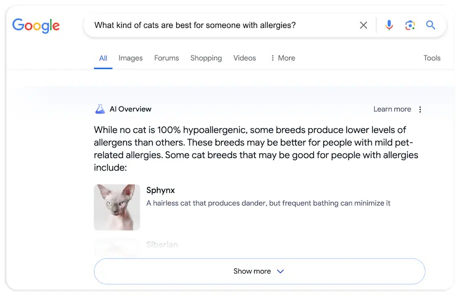 AI dang giet chet Google anh 3