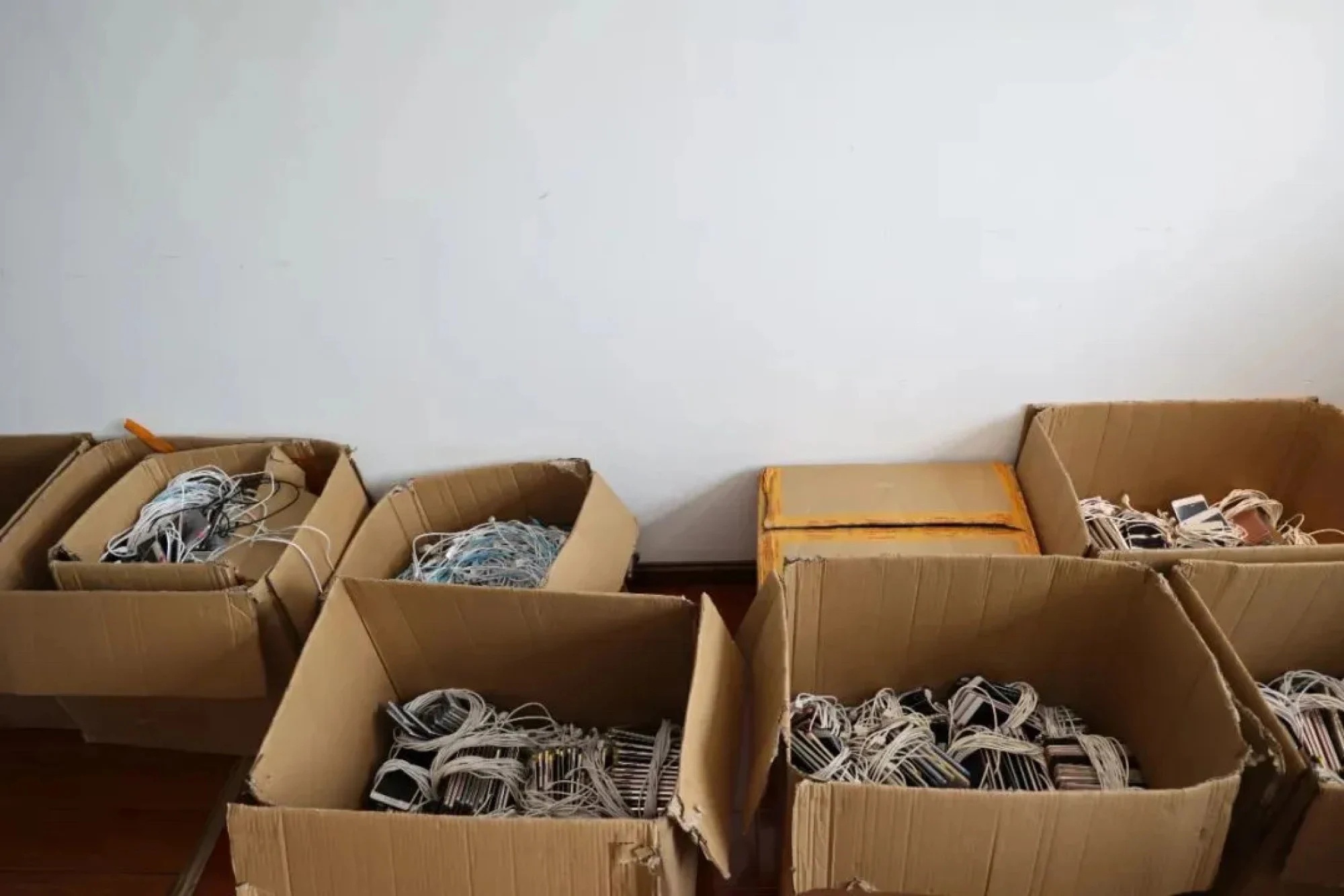 Di tu vi cay view anh 1