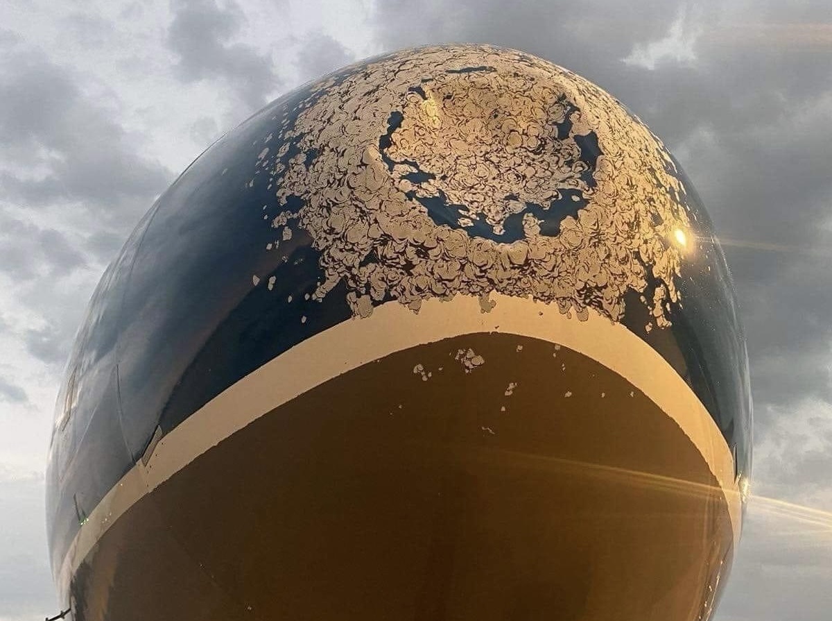 Tai sao phi cong lai may bay lai ‘so’ chim? hinh anh