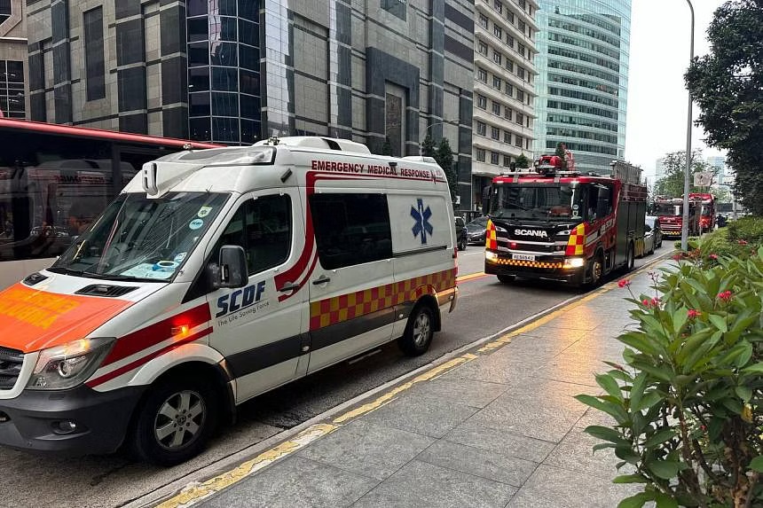 TikTok,  Singapore,  ngo doc anh 2