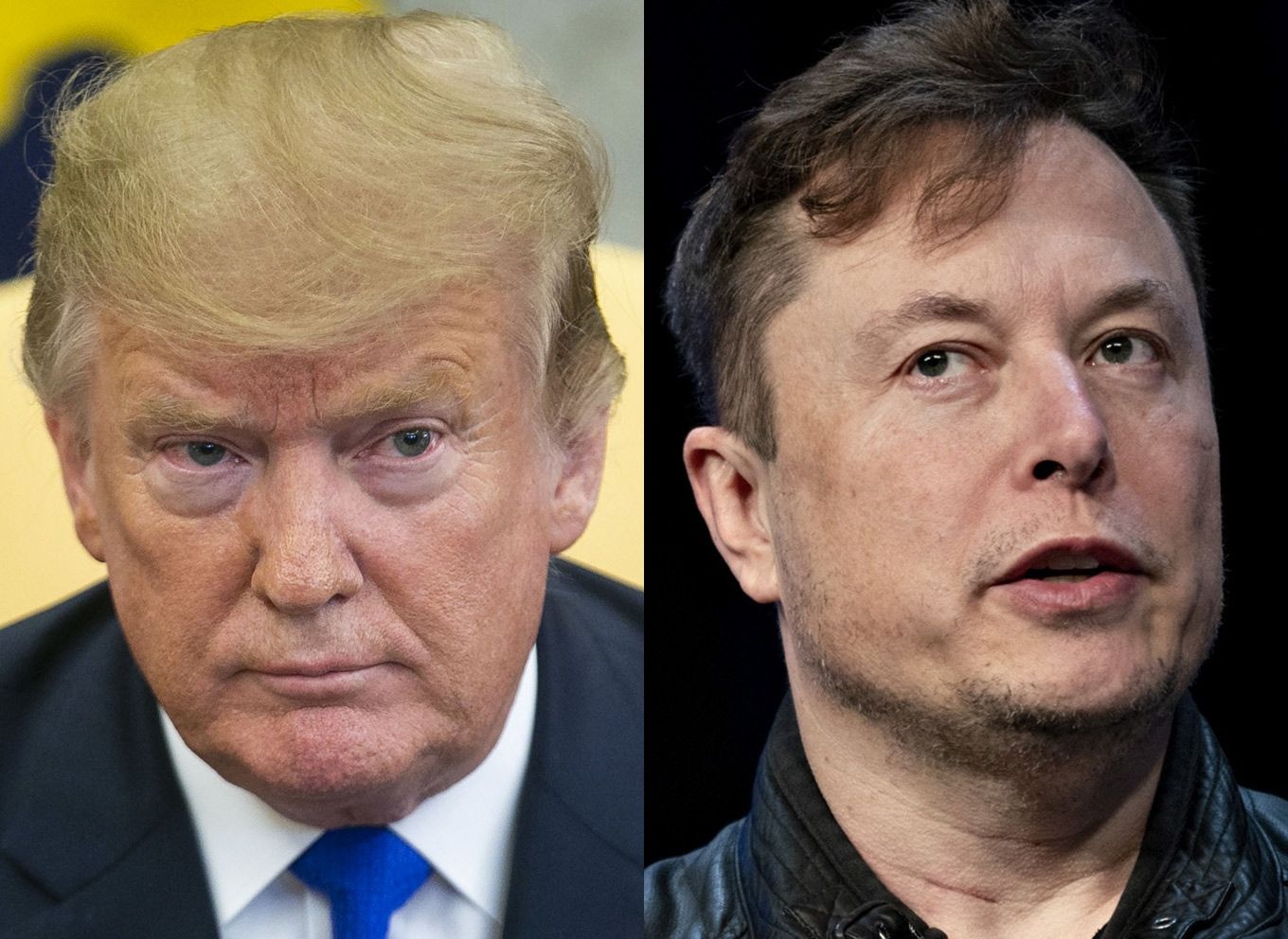 Musk Trump lam hoa anh 3