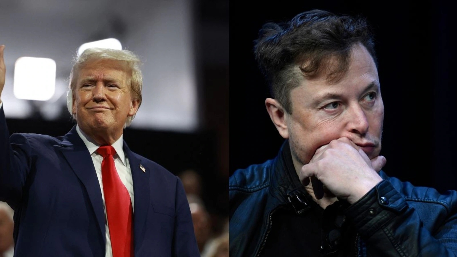 Musk Trump noi gi anh 3