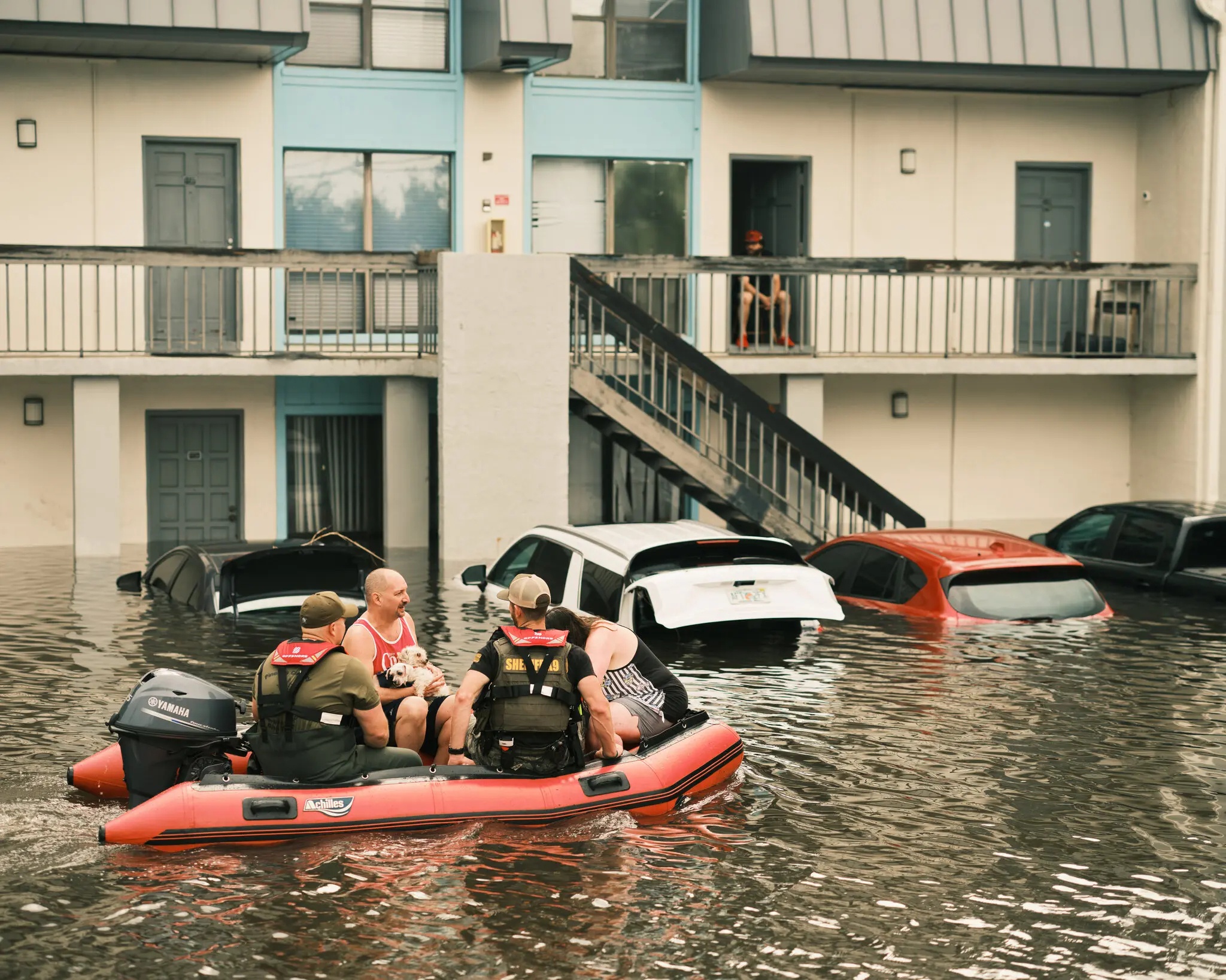 Nhung nguoi don bao Milton de lam video TikTok hinh anh