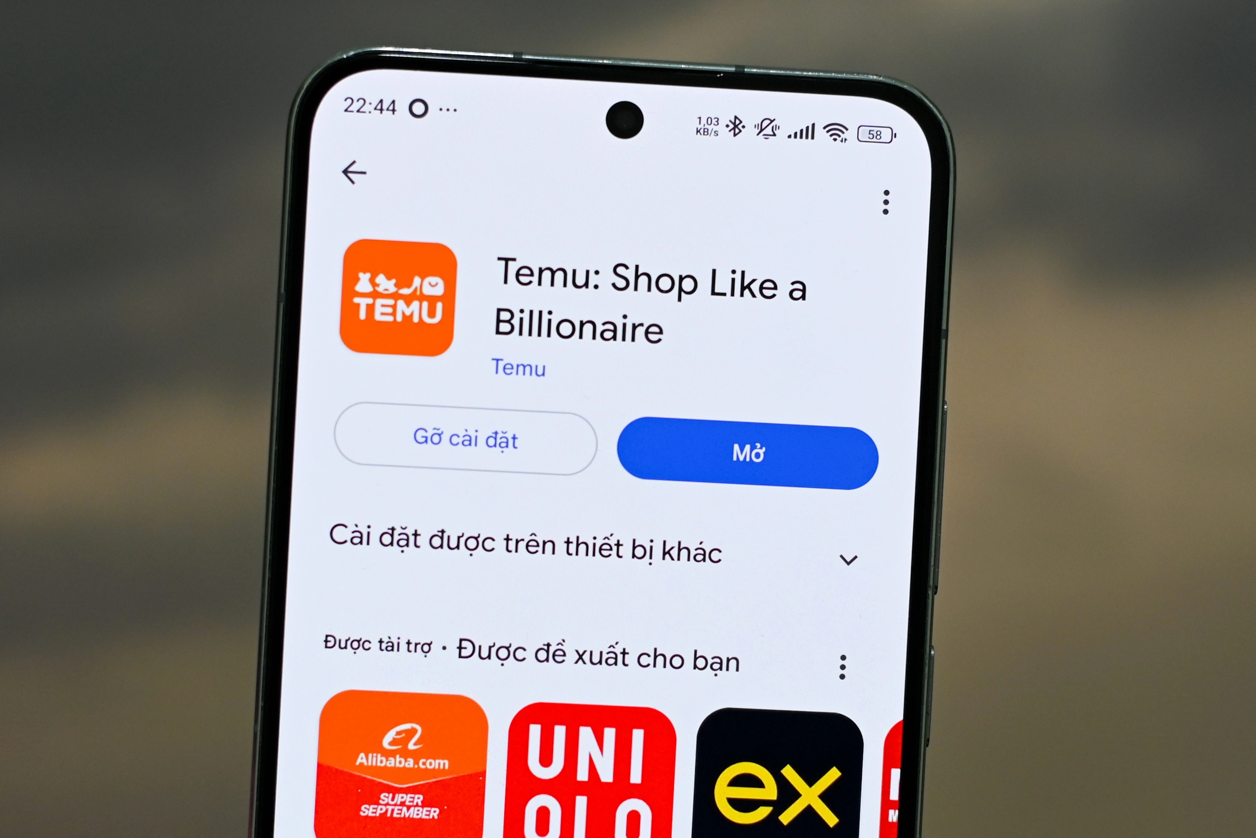 Nhung chieu tro cua Temu hinh anh