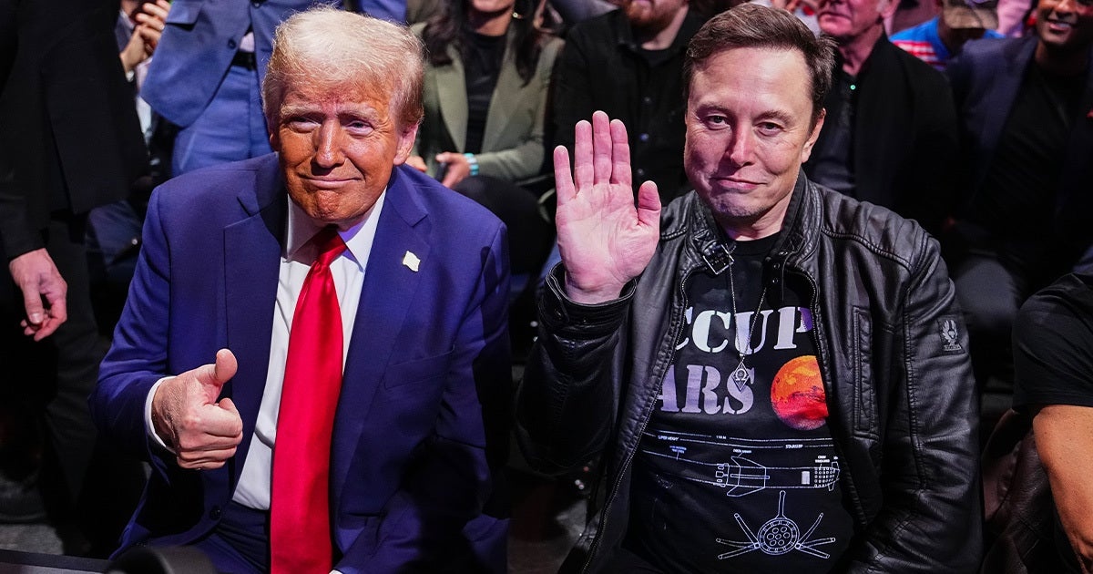 Ong Trump noi gi ve nhan xet ‘Elon Musk moi la tong thong My’ hinh anh