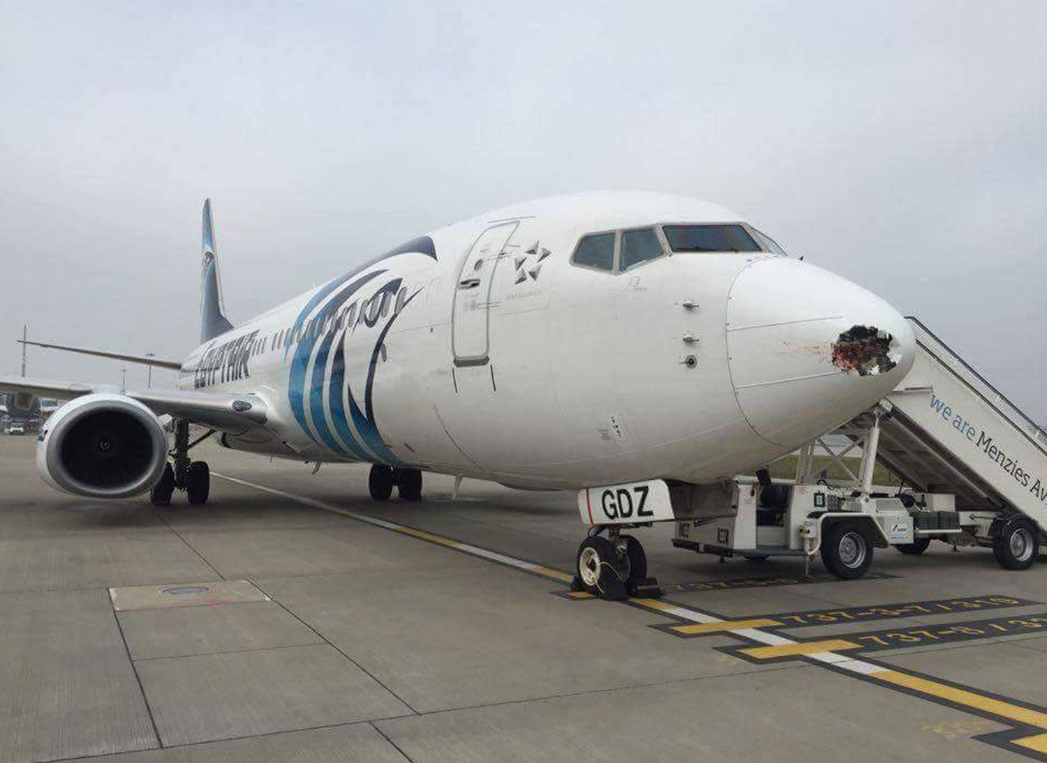 Chim lam hong may bay? anh 3