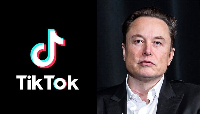 TikTok bac tin ban minh cho Elon Musk hinh anh