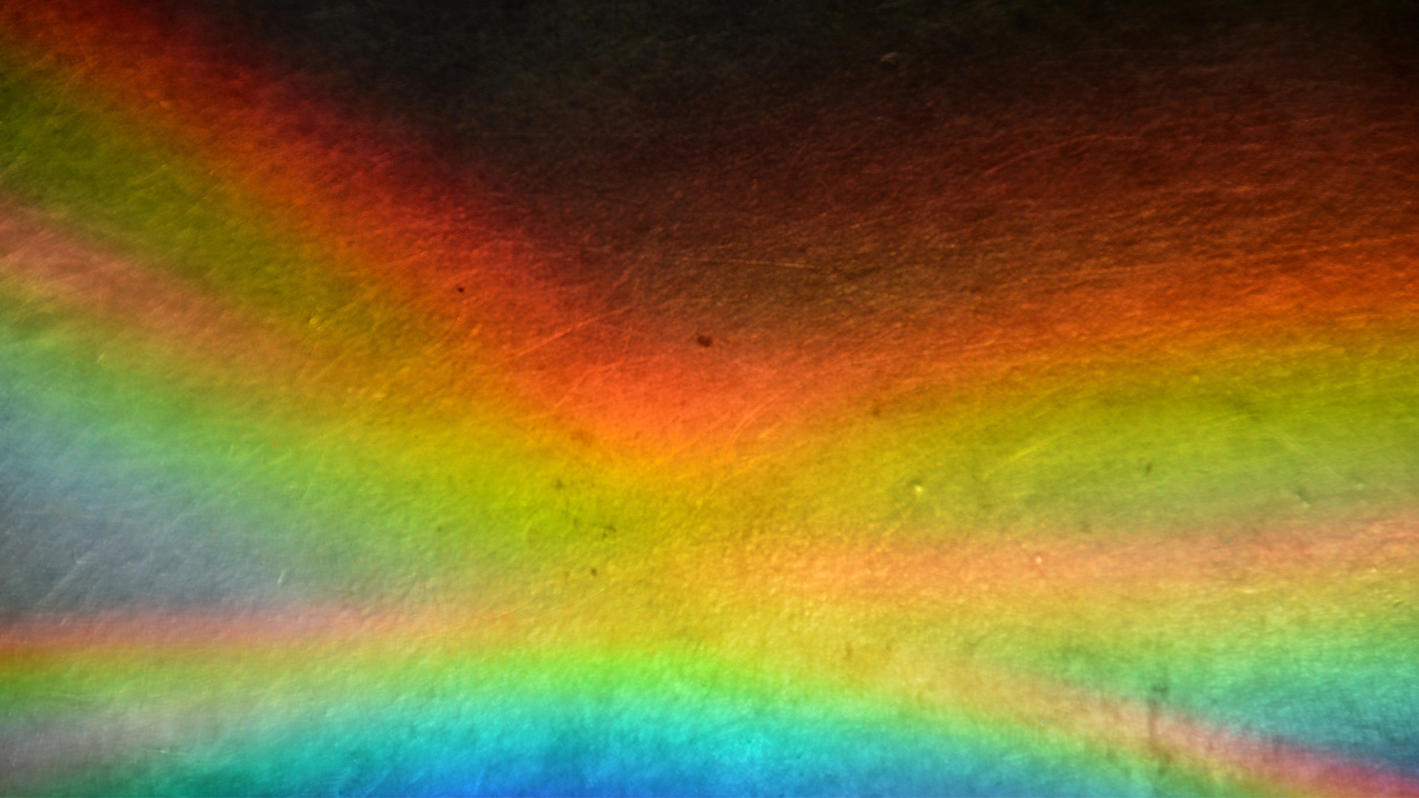 Chi 5 nguoi tung nhin thay mau sac nay hinh anh