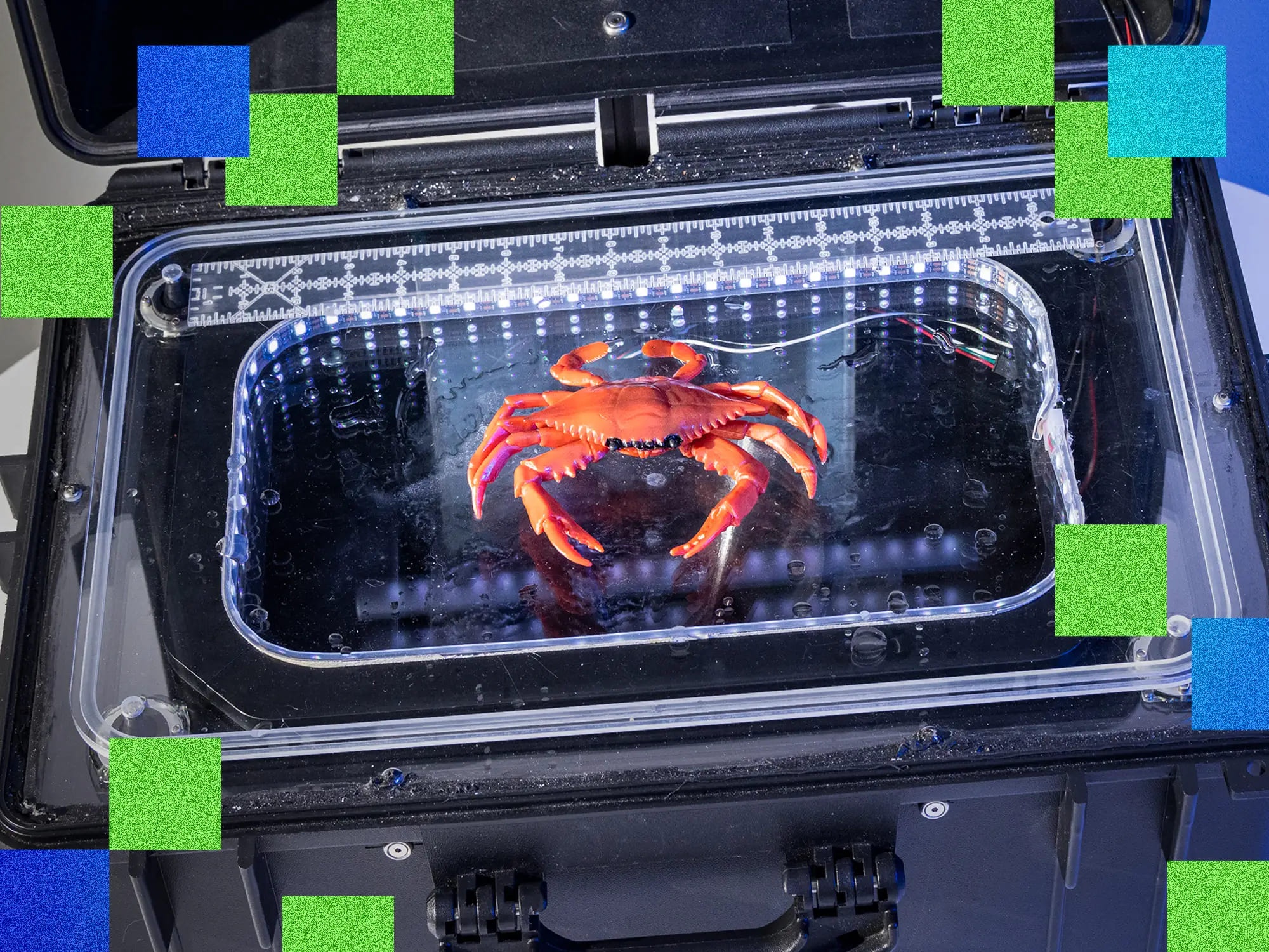 AI thanh 'tro ly bat cua' hinh anh