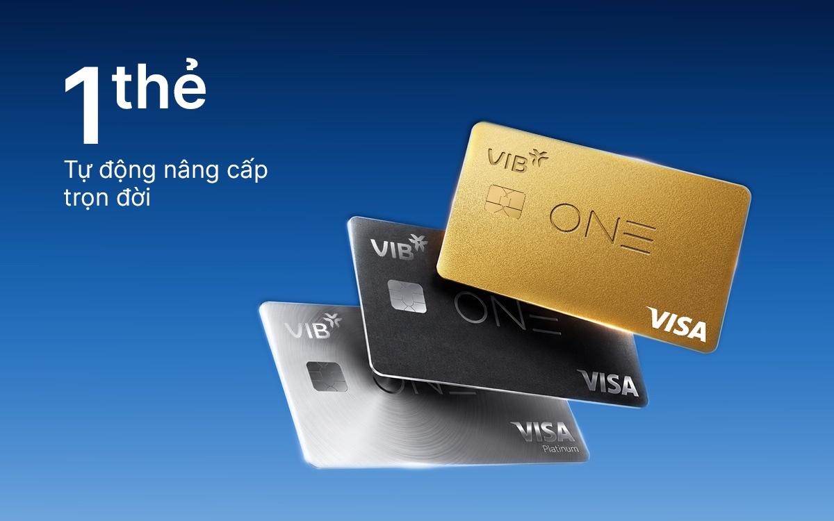 VIB ảnh 1