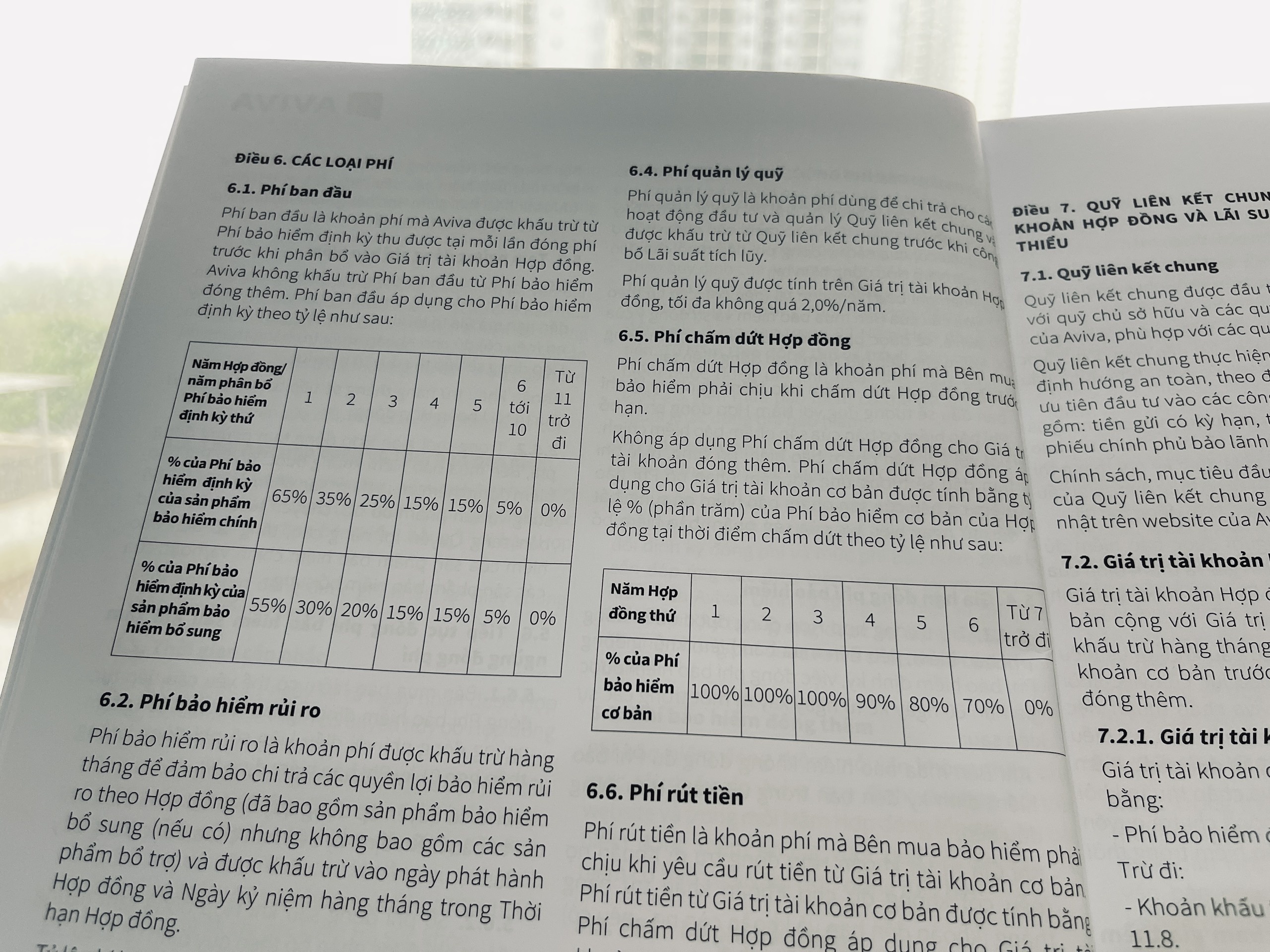 bao hiem nhan tho anh 1