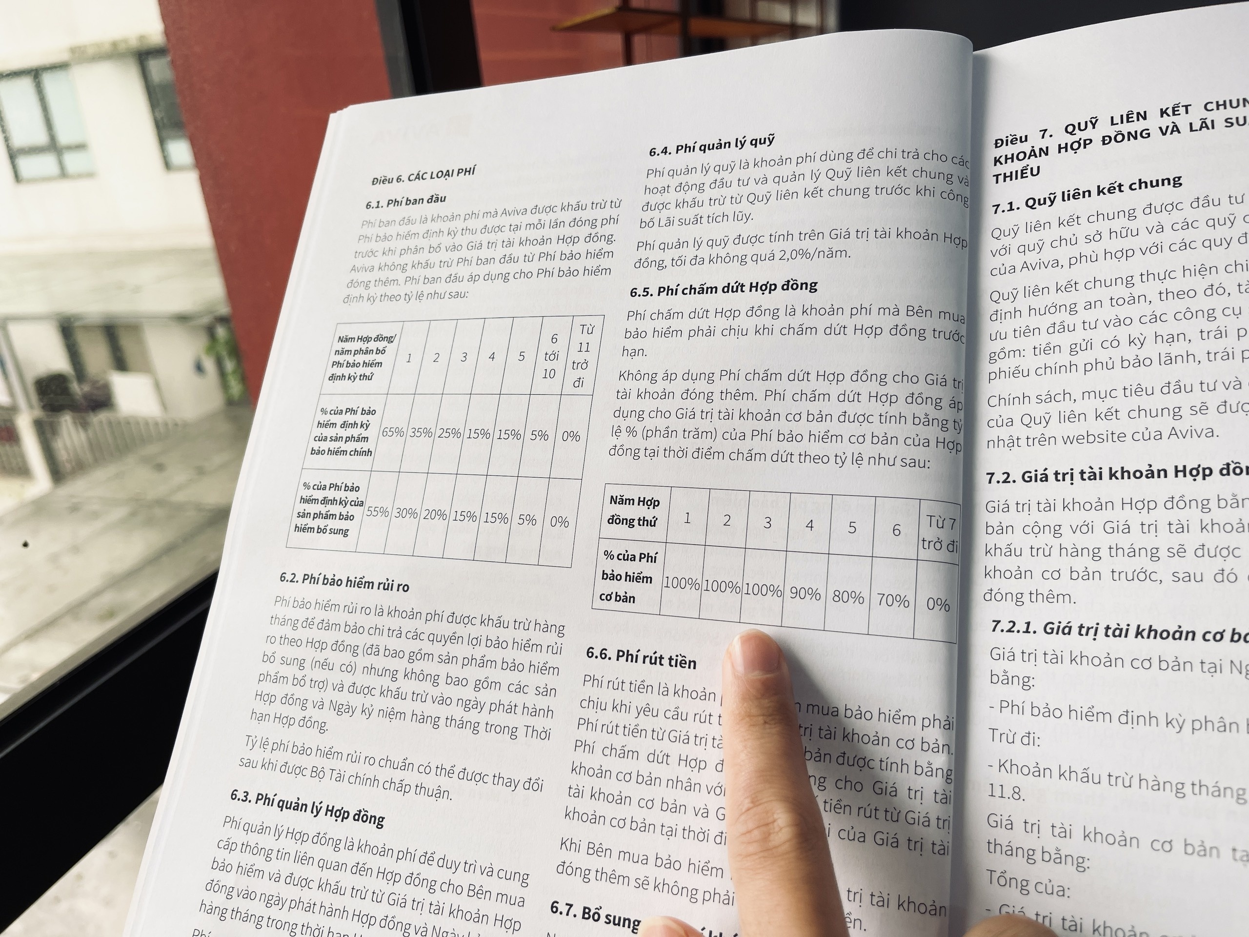 bao hiem nhan tho anh 2